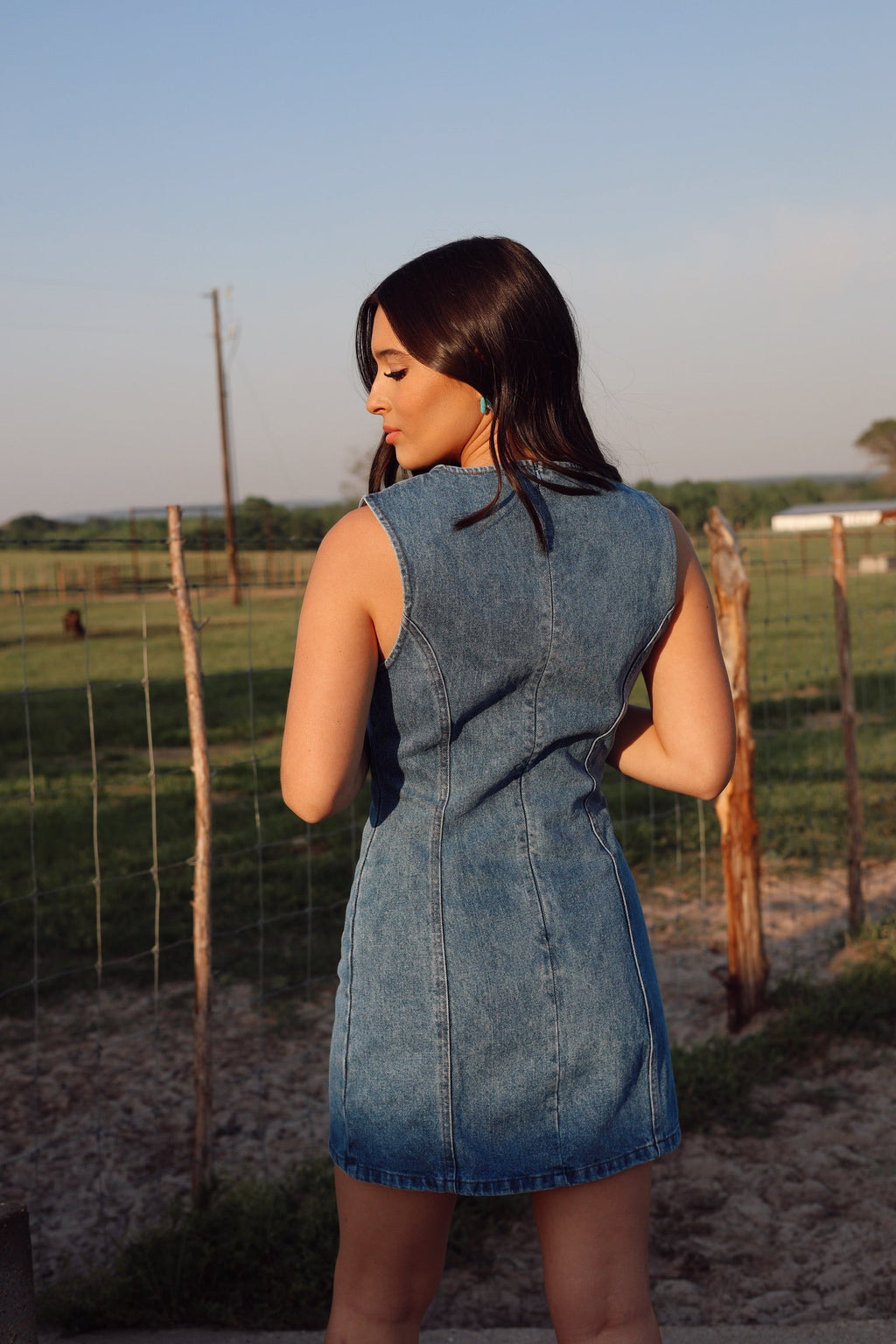 The Dallas Denim Dress-SMALL