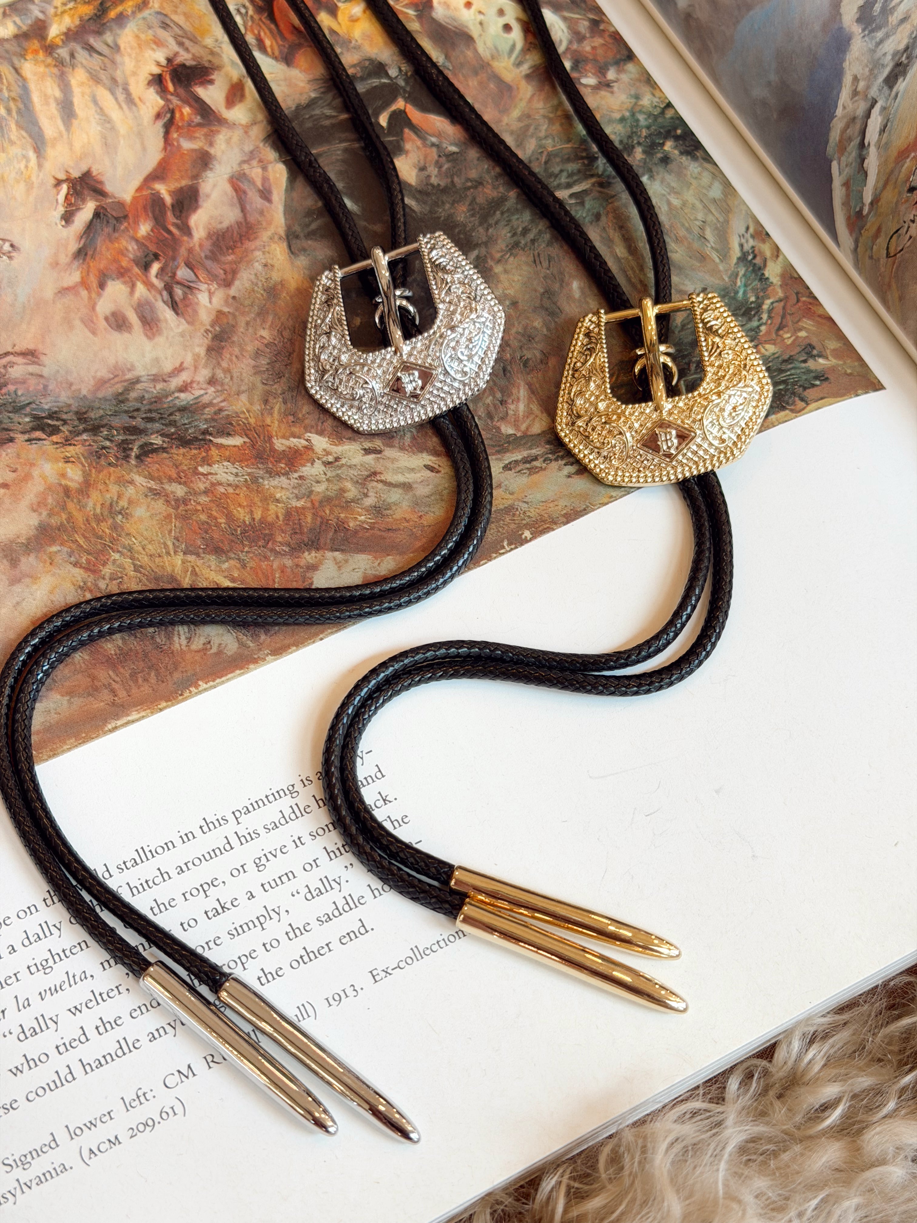 The Buckle HillBetty Bolo Necklace {GOLD + SILVER}