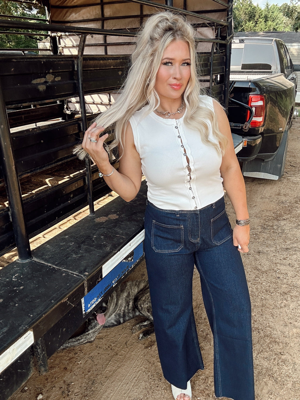 The Shannon Top