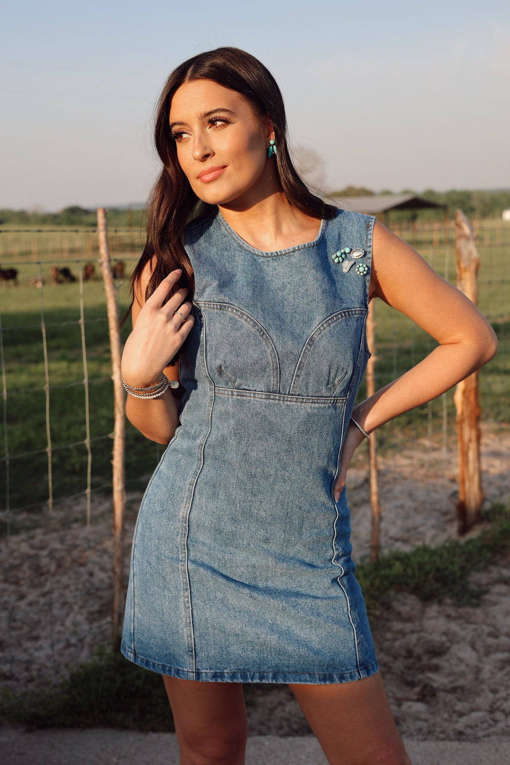 The Dallas Denim Dress-SMALL