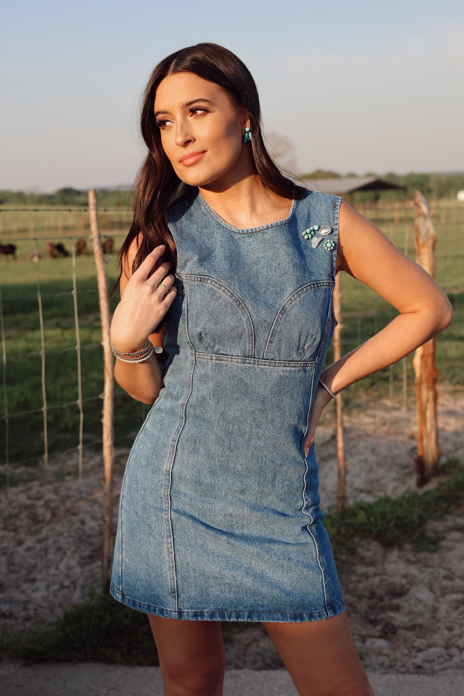 The Dallas Denim Dress-SMALL