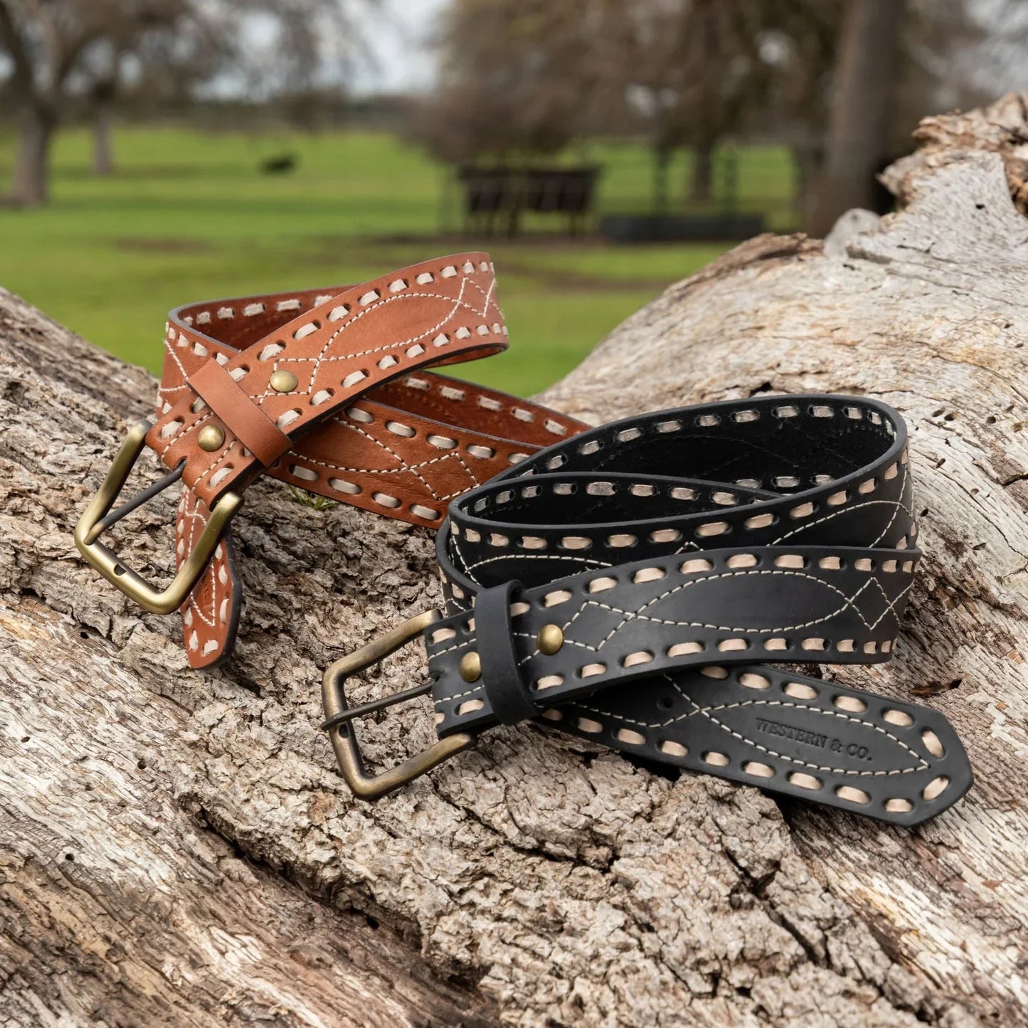 The Classic Buckstitch Belt - black