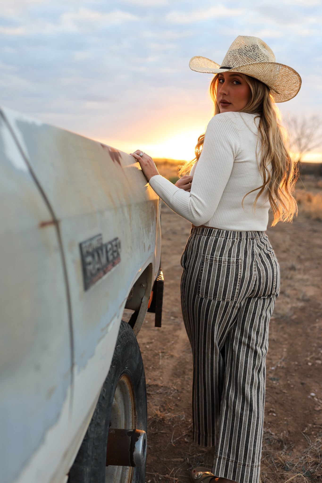 The Striped Denim Pants