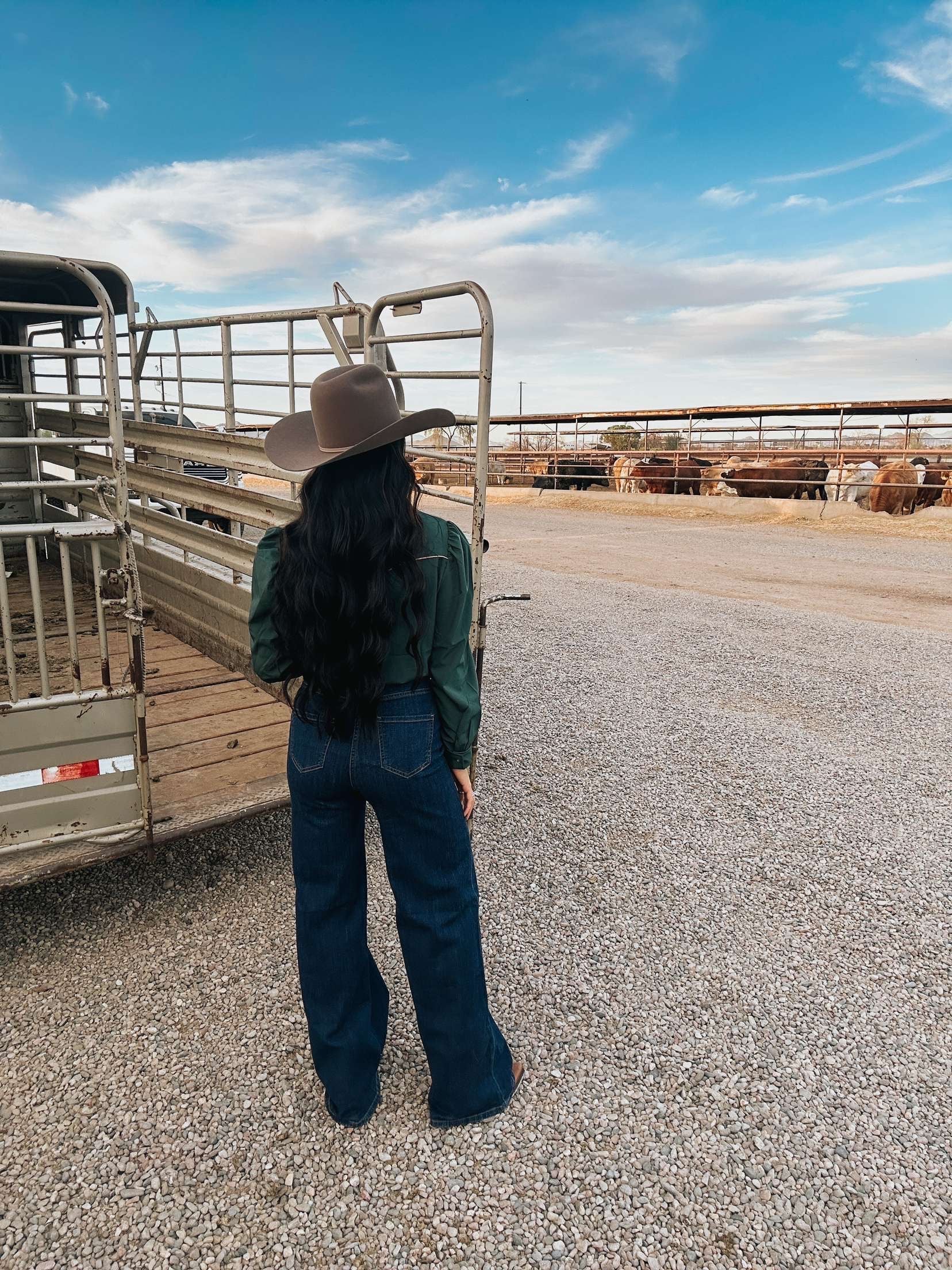 The Cheyenne Jeans