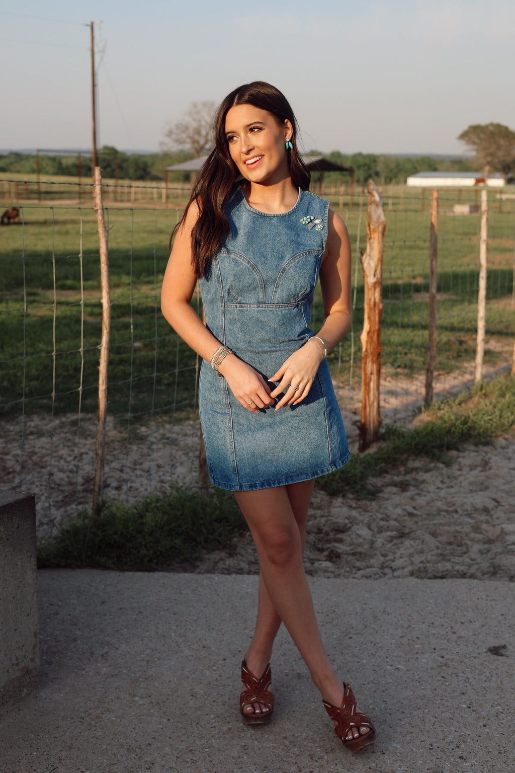 The Dallas Denim Dress-SMALL