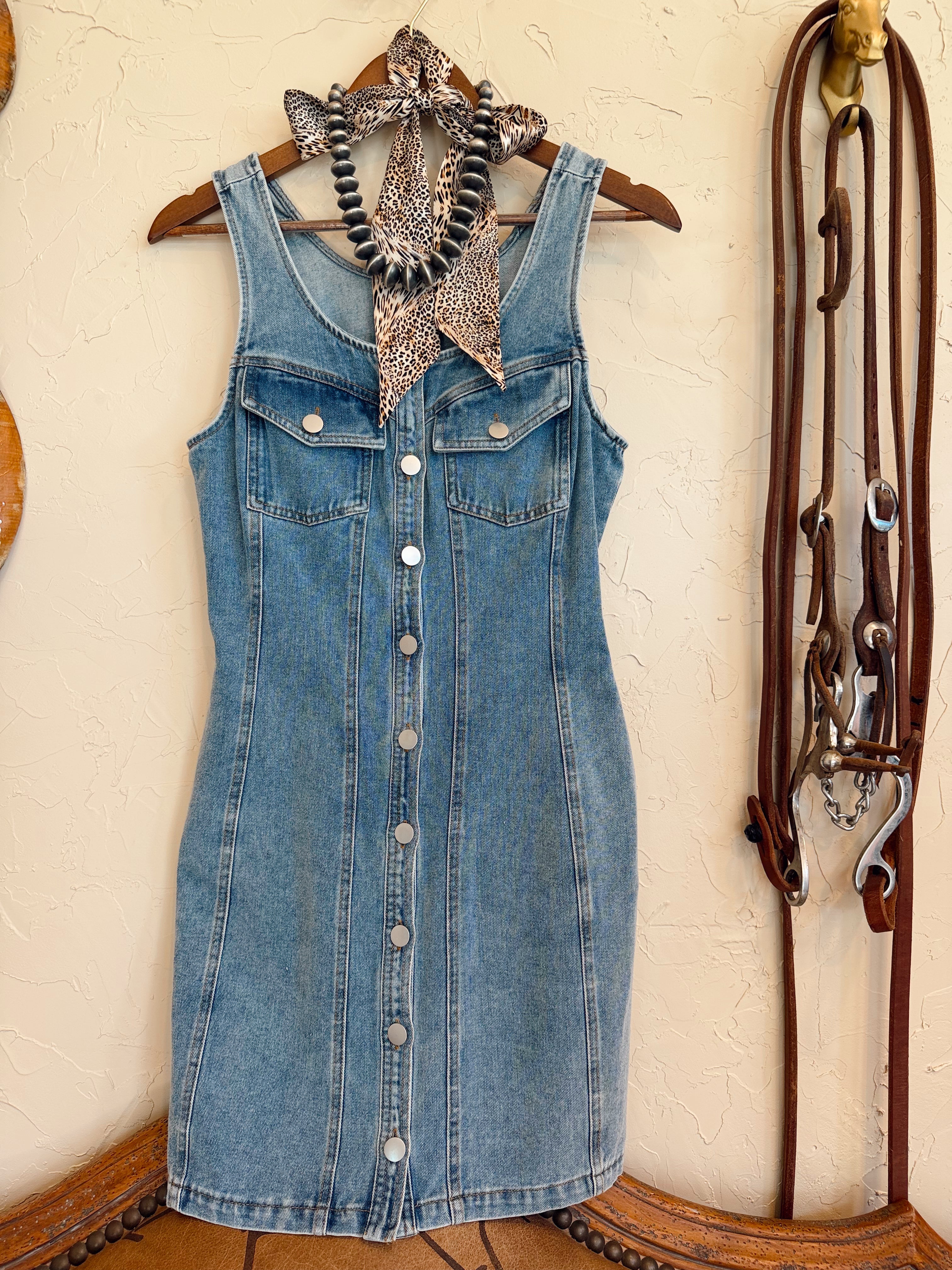The Darian Denim Dress
