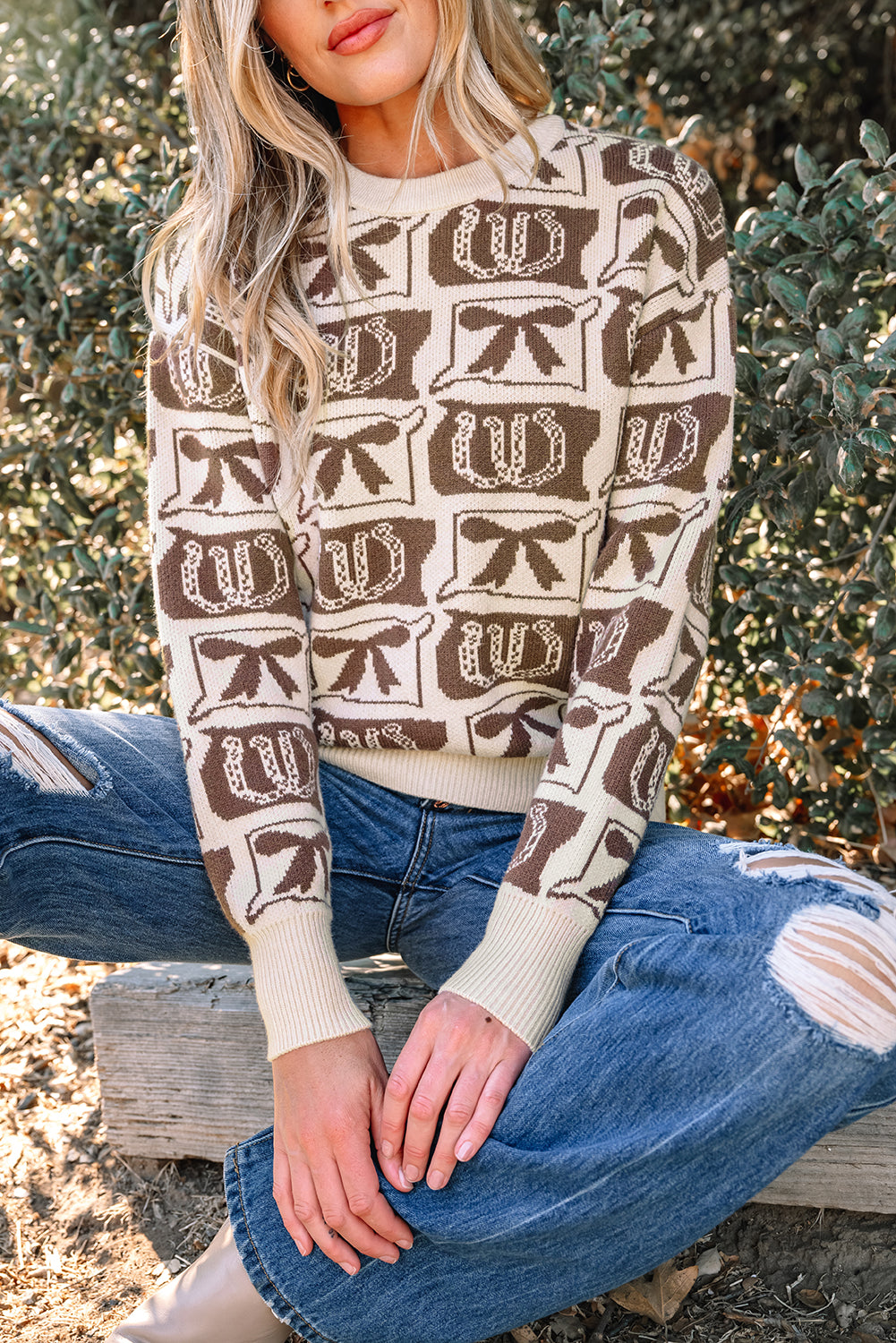 Brown Bows & Horseshoes Pattern Western Fashion Print Sweater