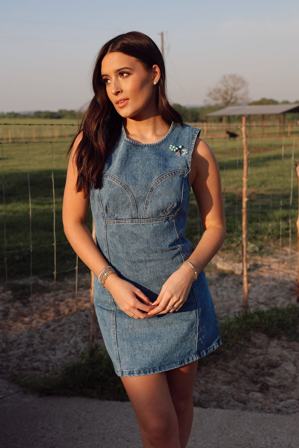 The Dallas Denim Dress-SMALL