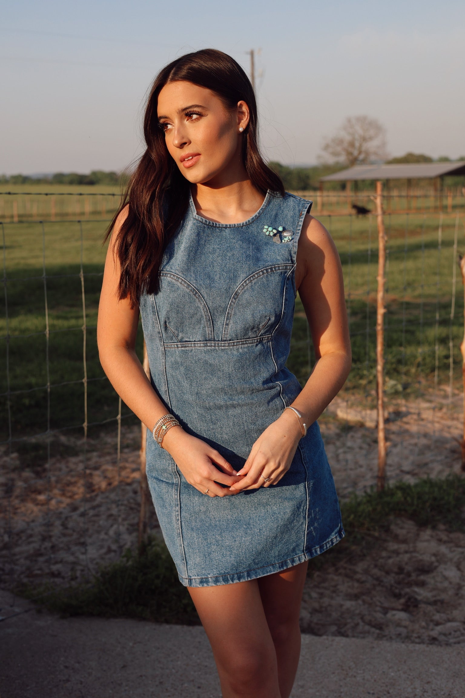 The Dallas Denim Dress-SMALL