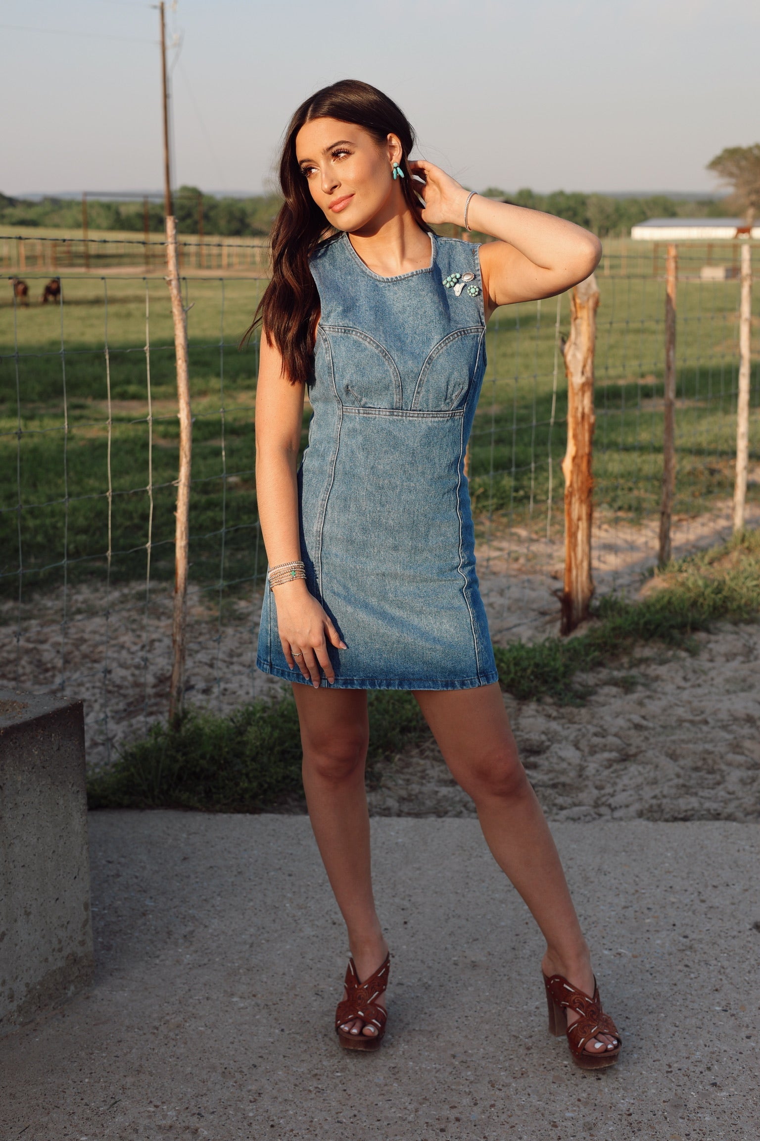 The Dallas Denim Dress-SMALL