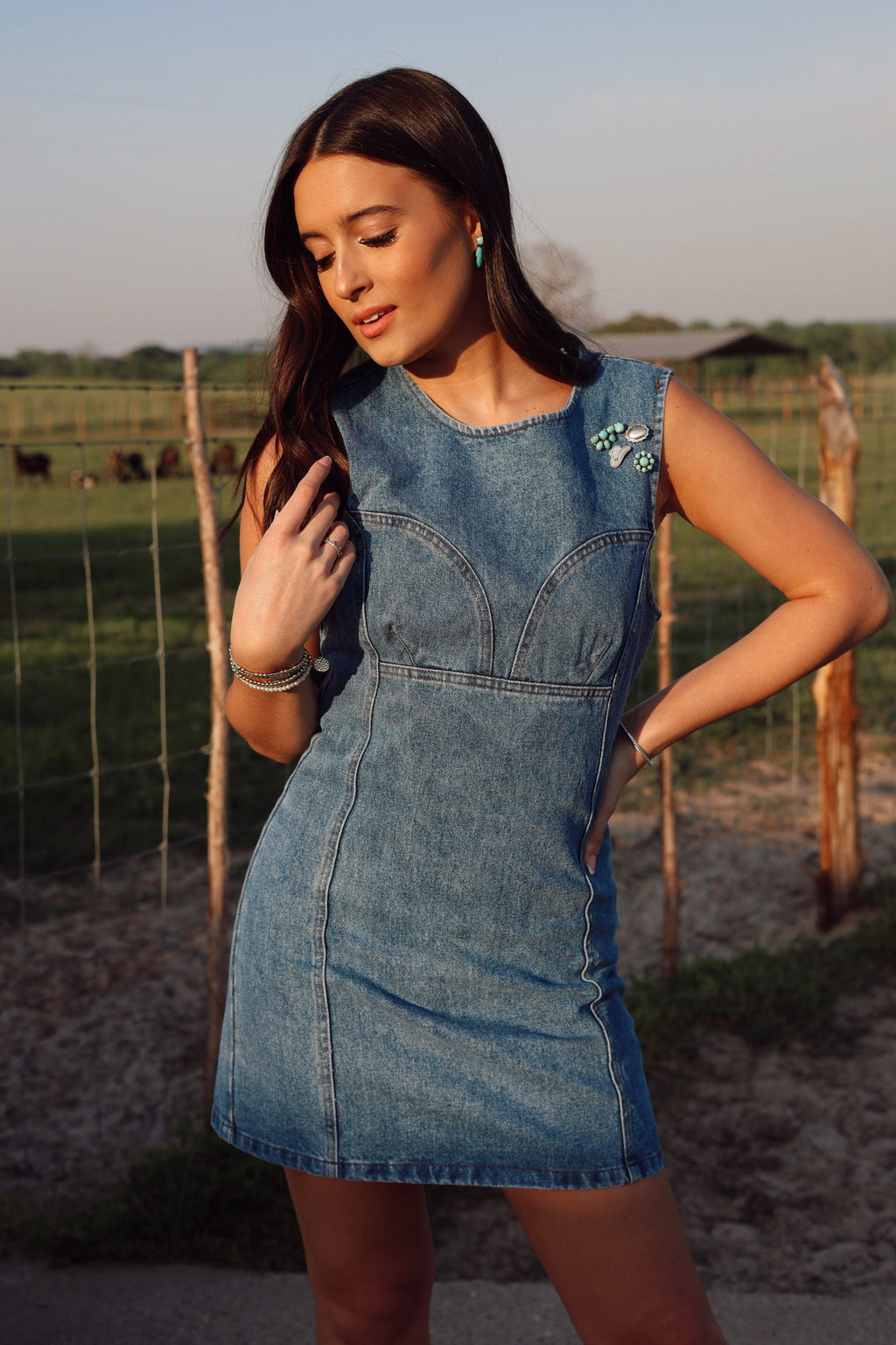 The Dallas Denim Dress-SMALL