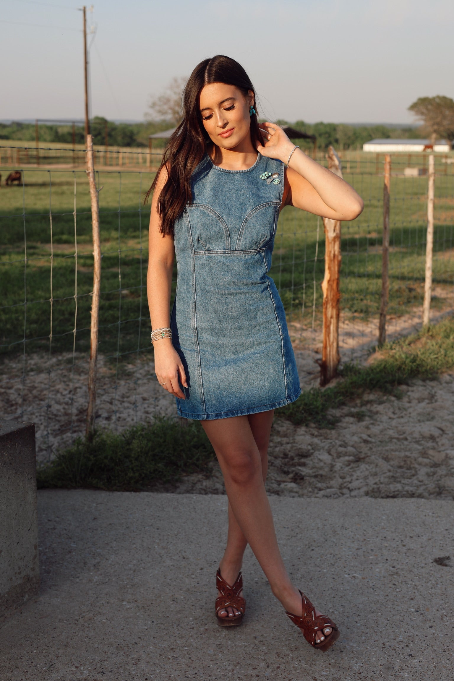 The Dallas Denim Dress-SMALL