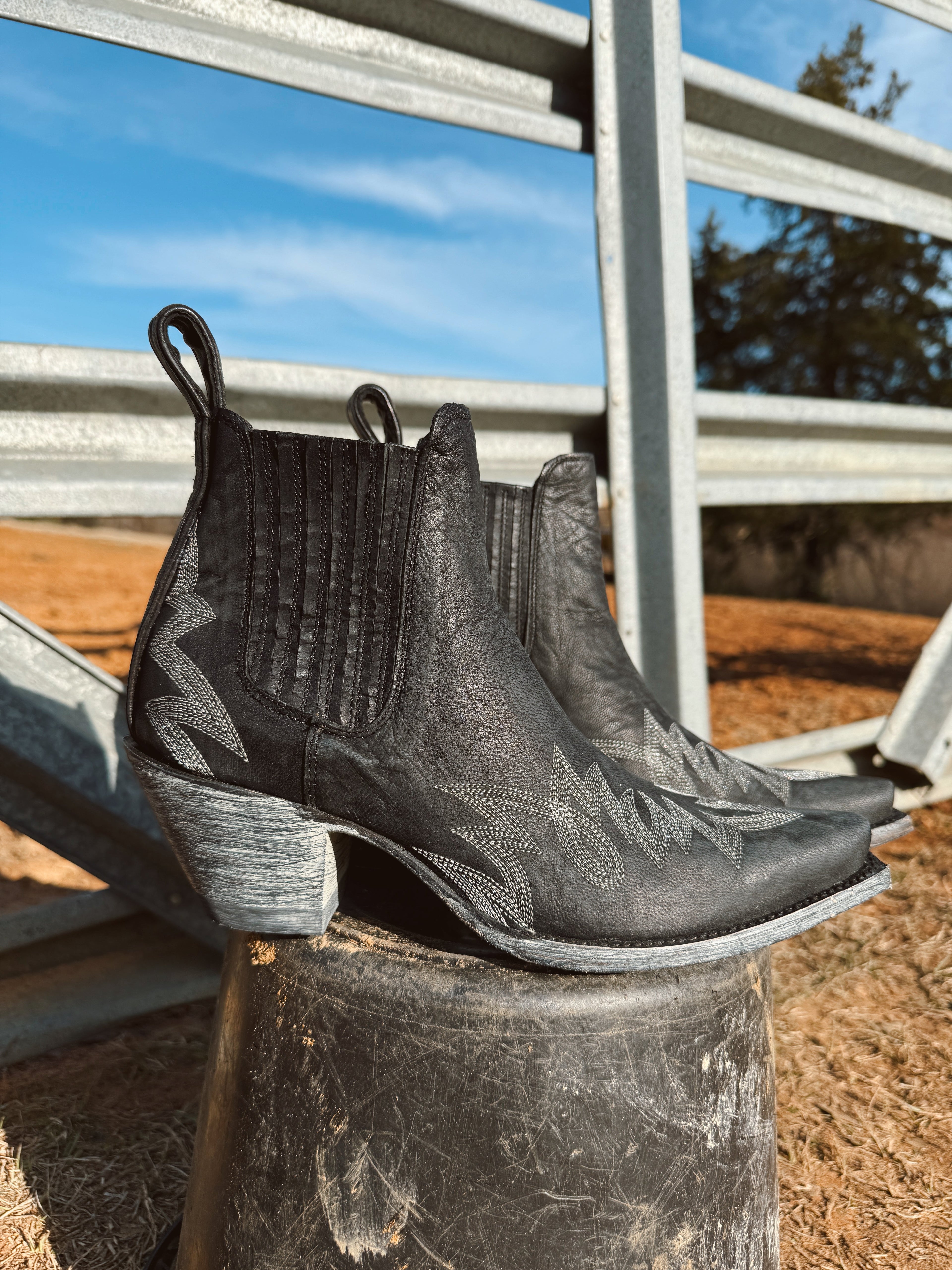The Old Gringo Gaucho Bootie  - Rare