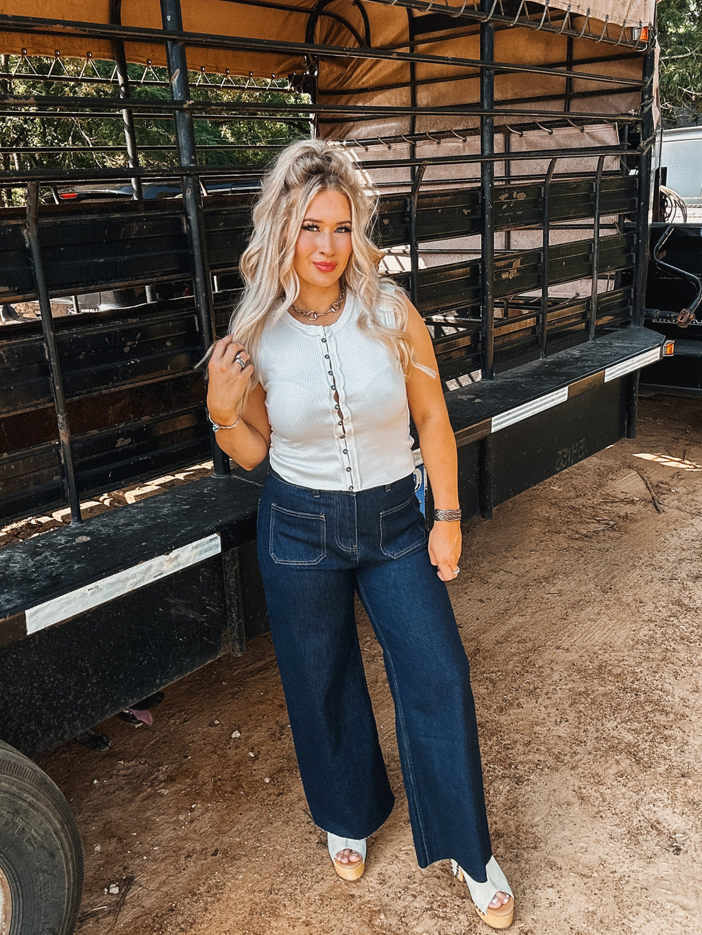 The Shannon Top