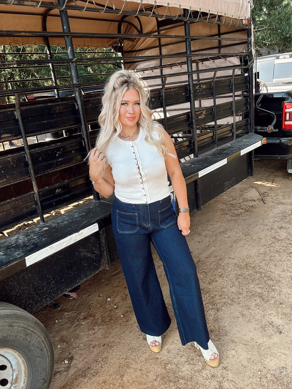 The Shannon Top