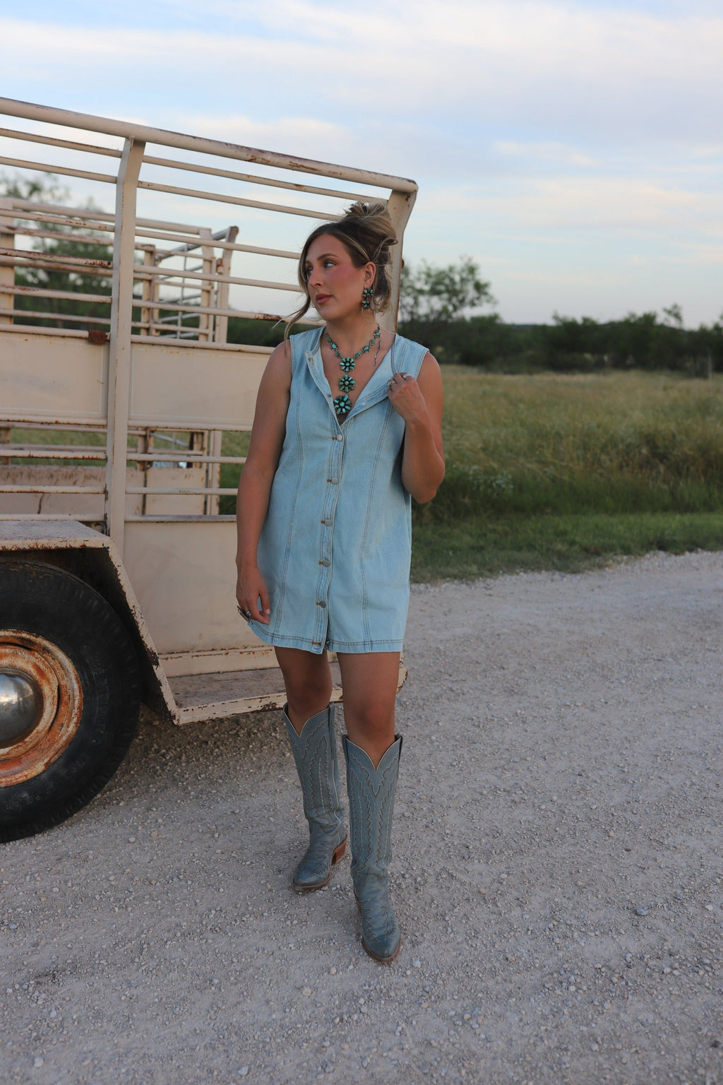 The Dobbs Denim Dress in Light Wash