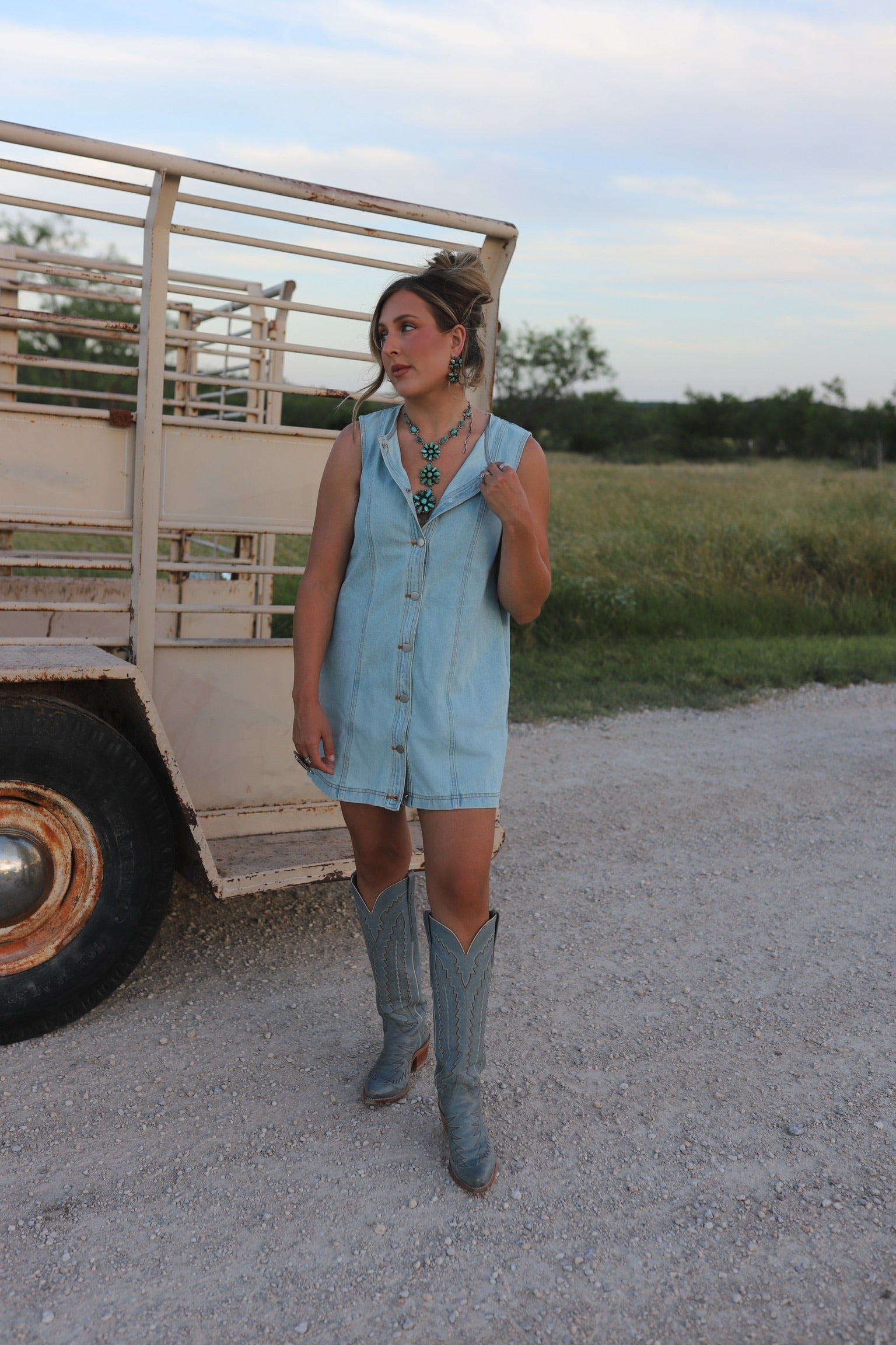 The Dobbs Denim Dress in Light Wash