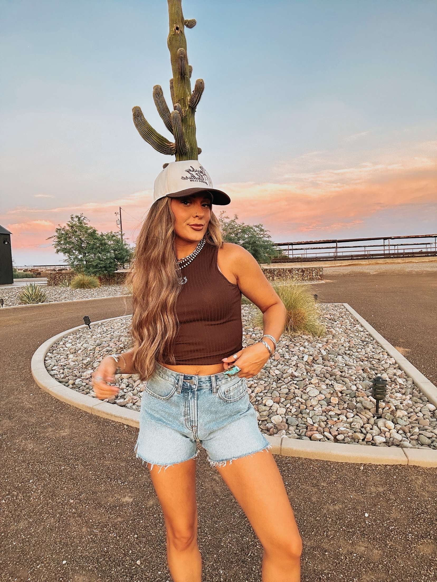 The Cinny Denim Shorts