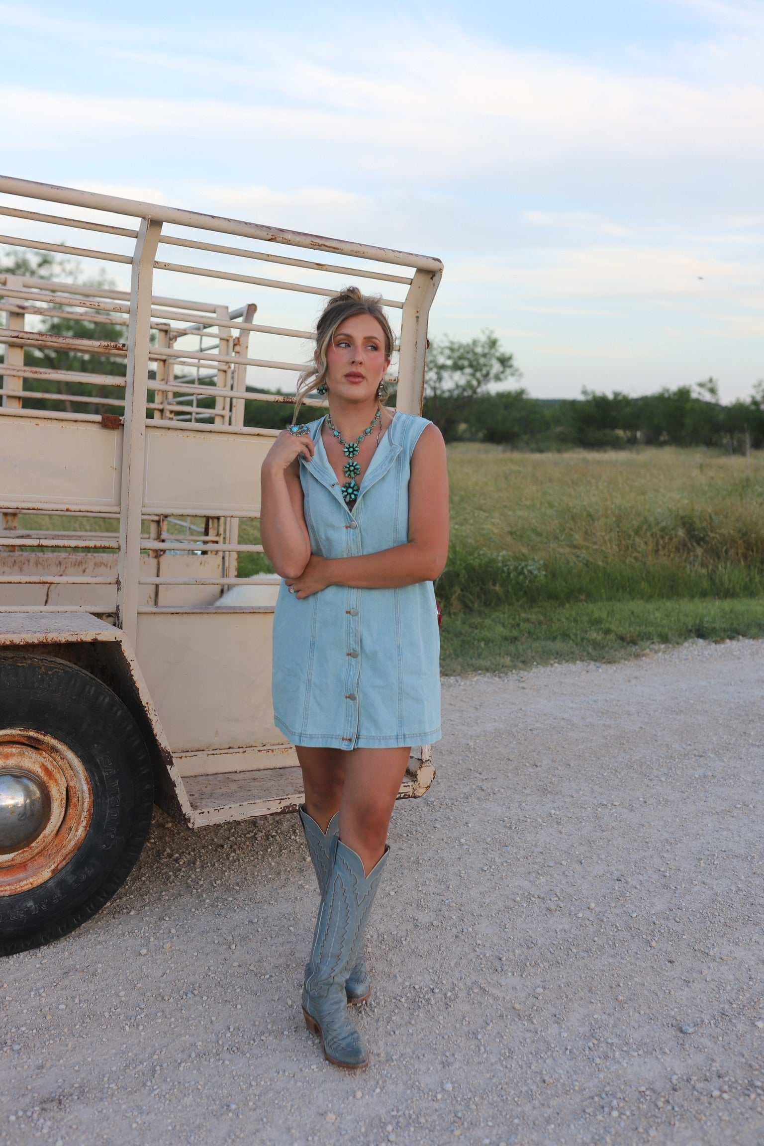 The Dobbs Denim Dress in Light Wash