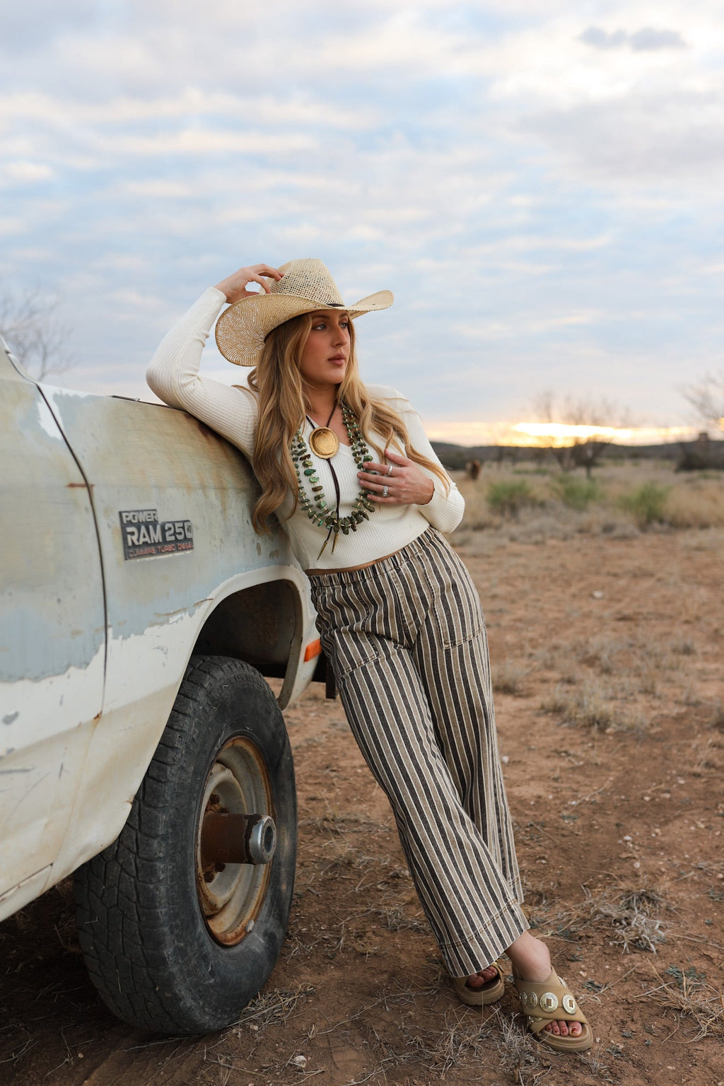The Striped Denim Pants
