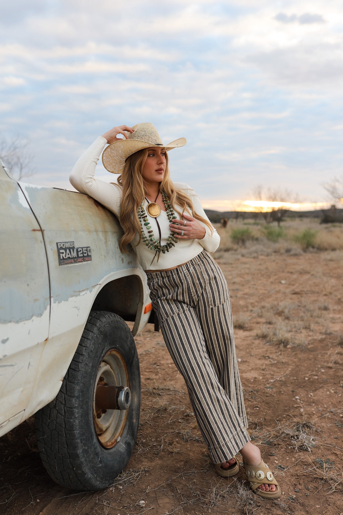 The Striped Denim Pants