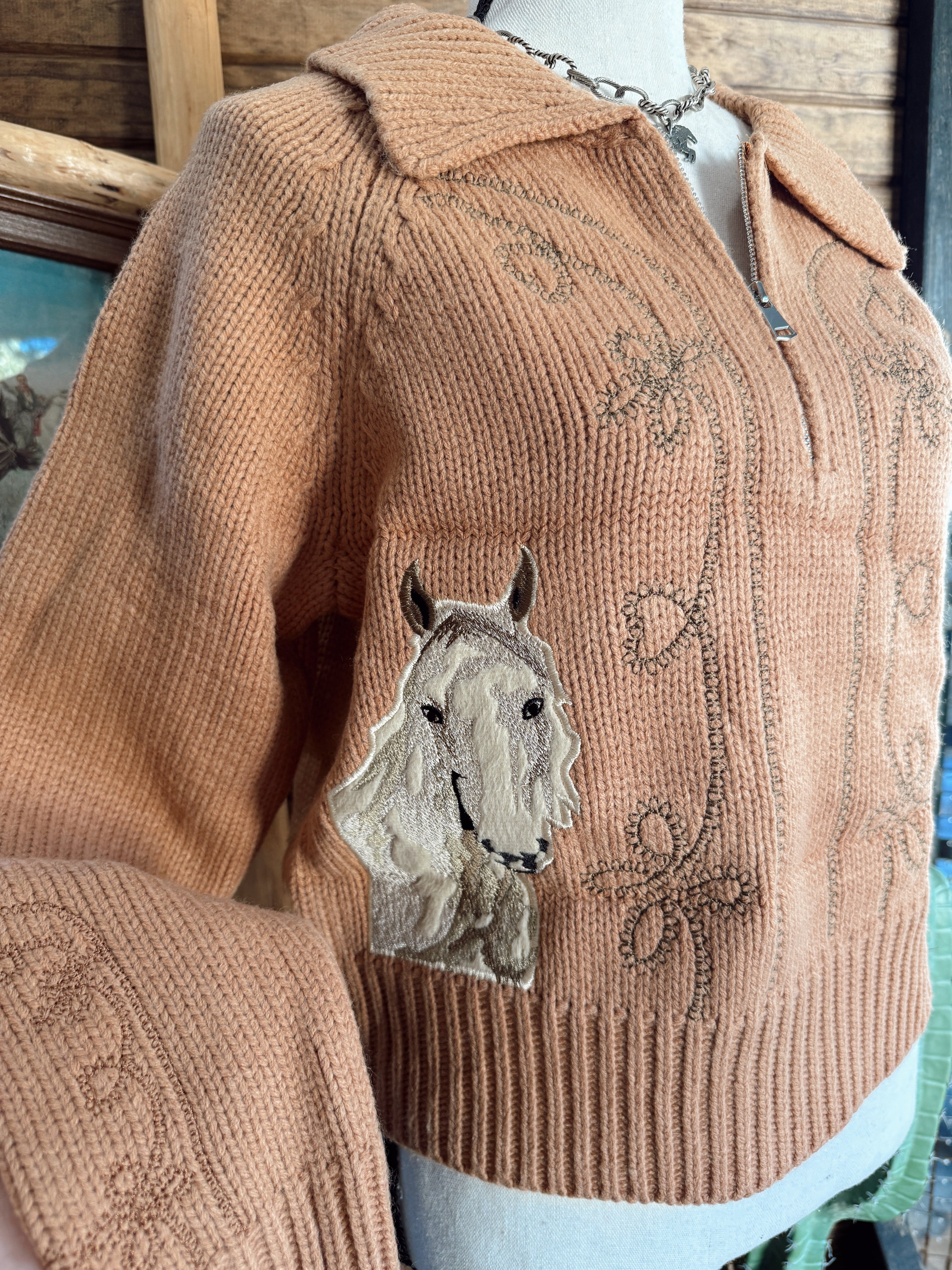 The Western Embroidered Zip Up