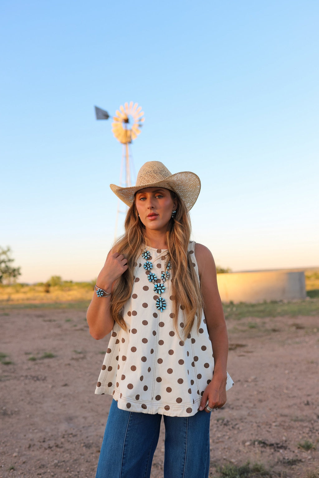 The Posie Polka Dot Denim Top