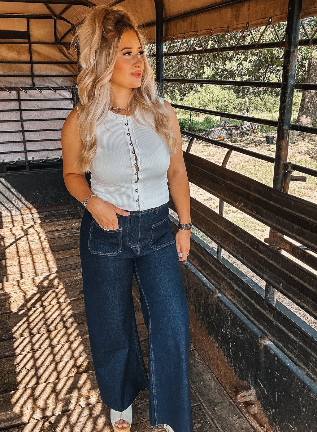 The Shannon Top