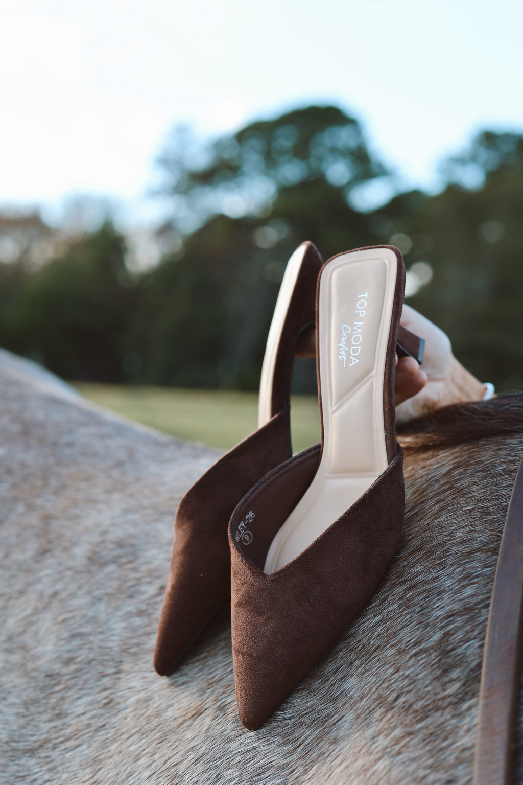 The Kitten Heel- Chocolate