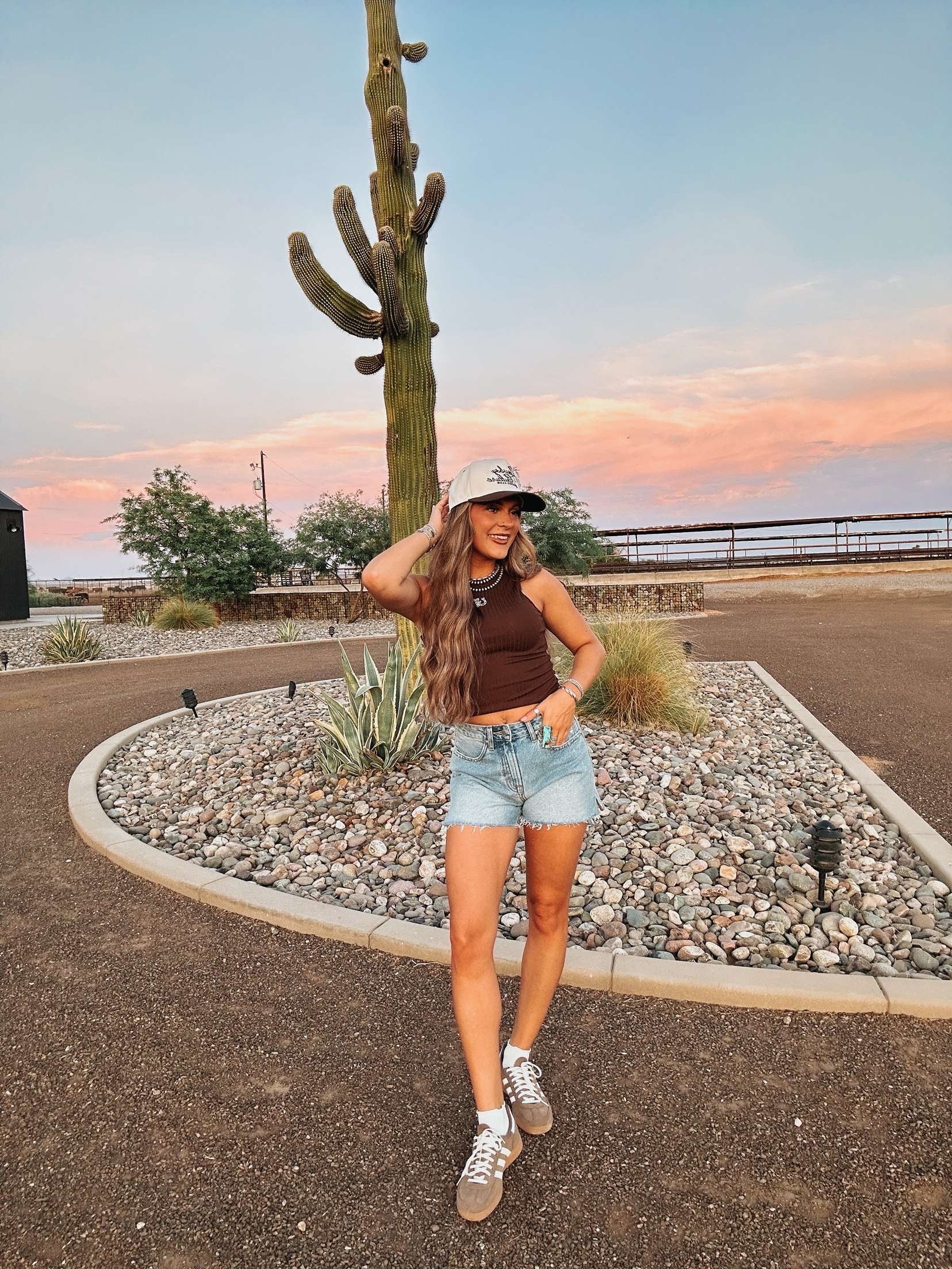 The Cinny Denim Shorts