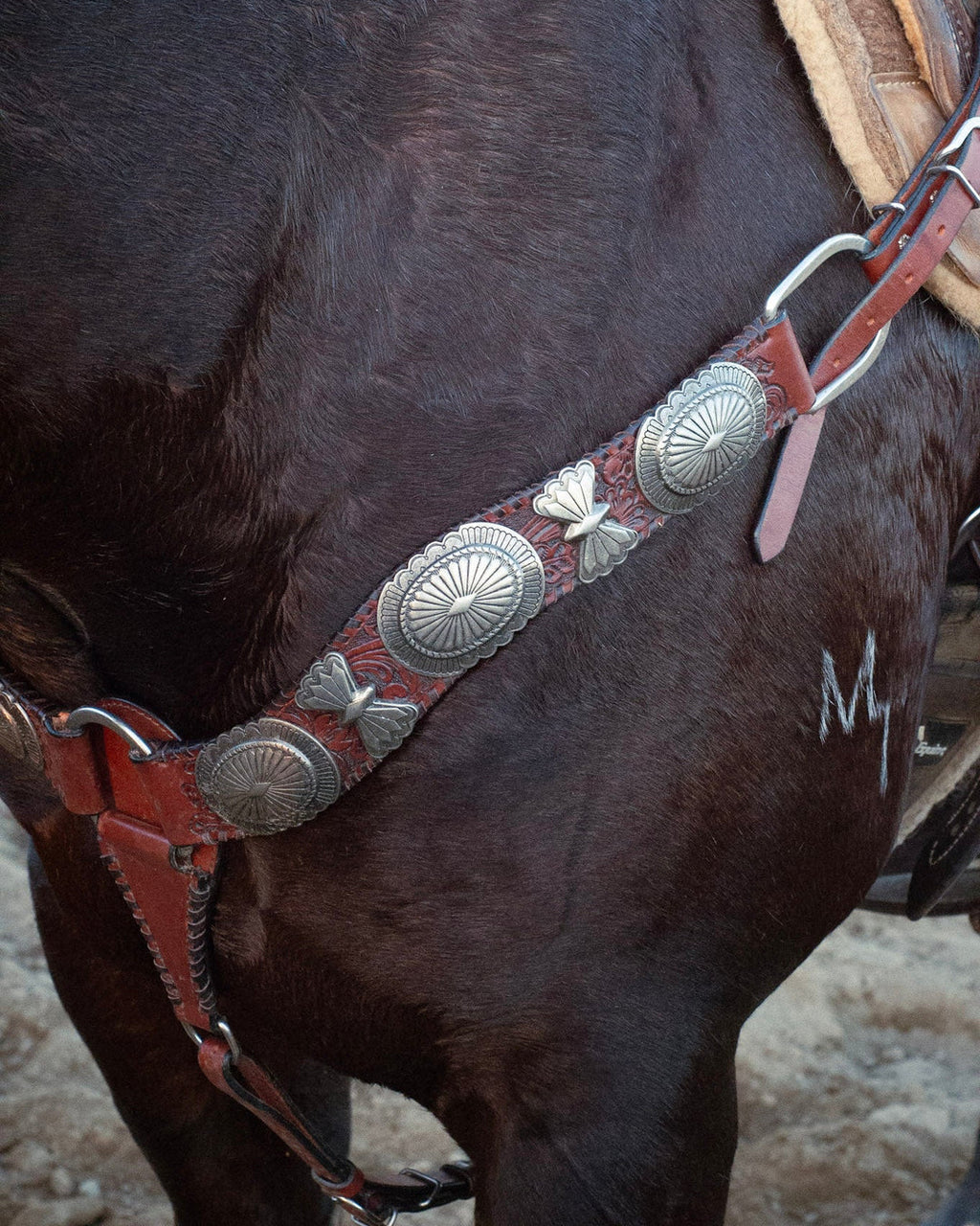 The Dinero Breast Collar