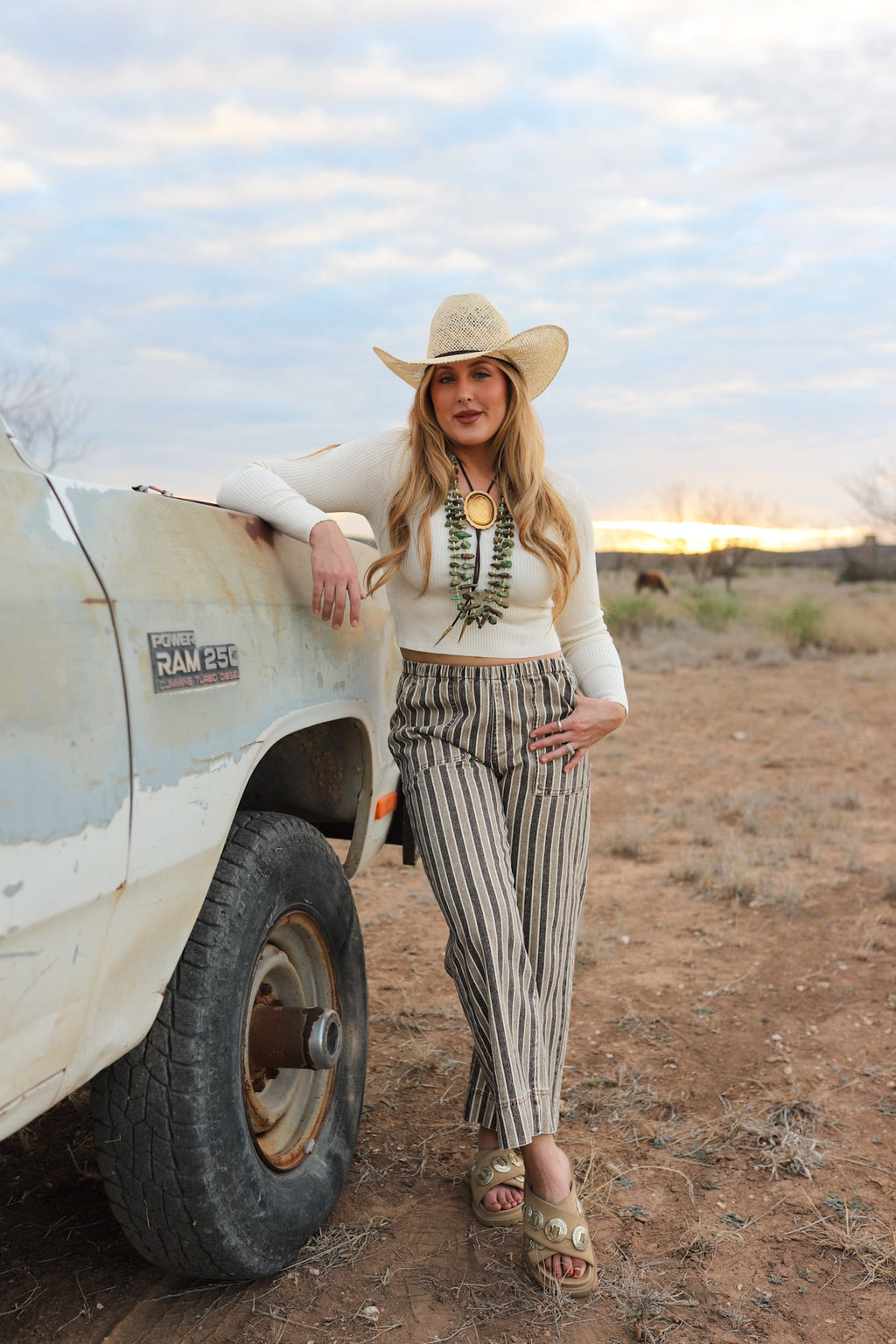 The Striped Denim Pants
