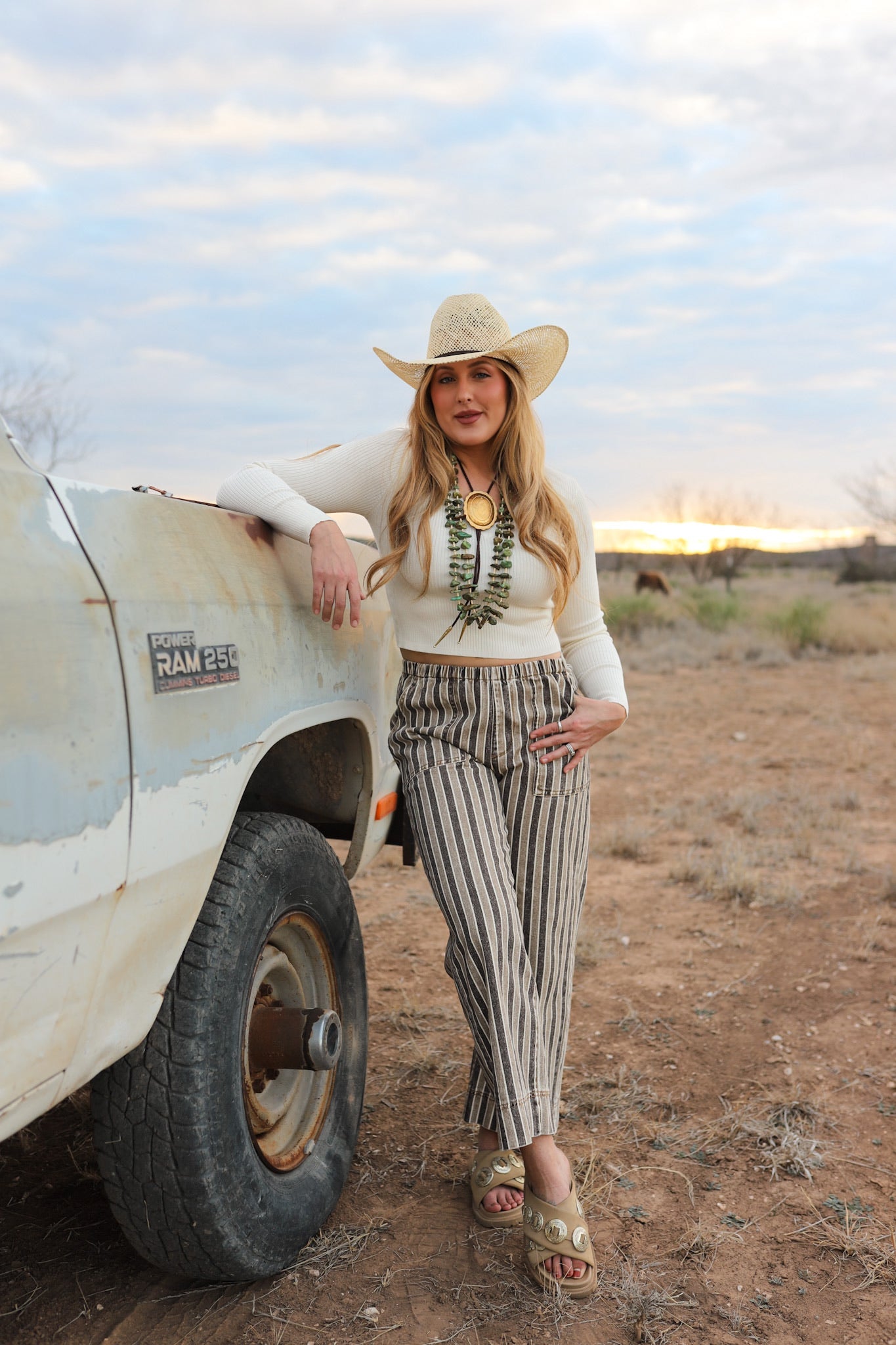 The Striped Denim Pants