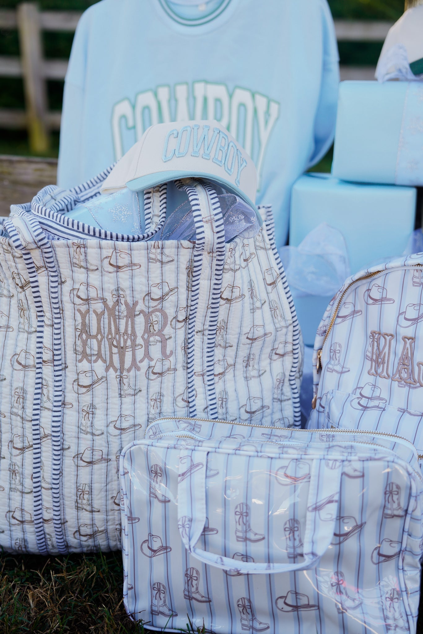 Western Blues Striped - Clear Coat Toiletry Case