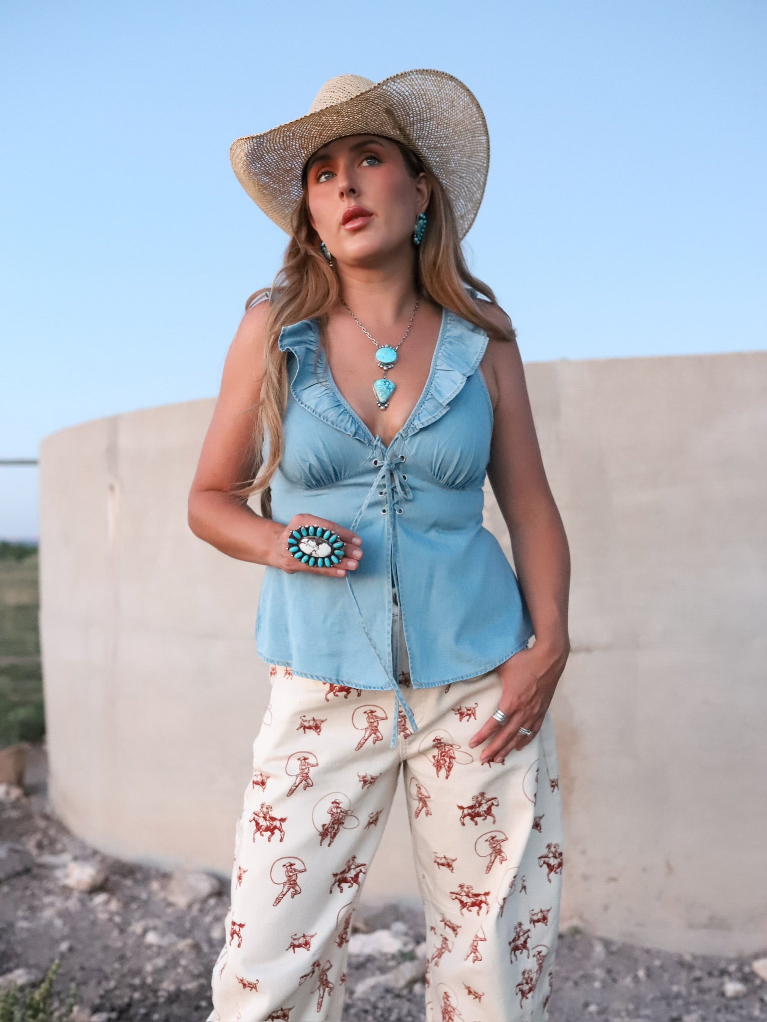 The Danville Denim Top