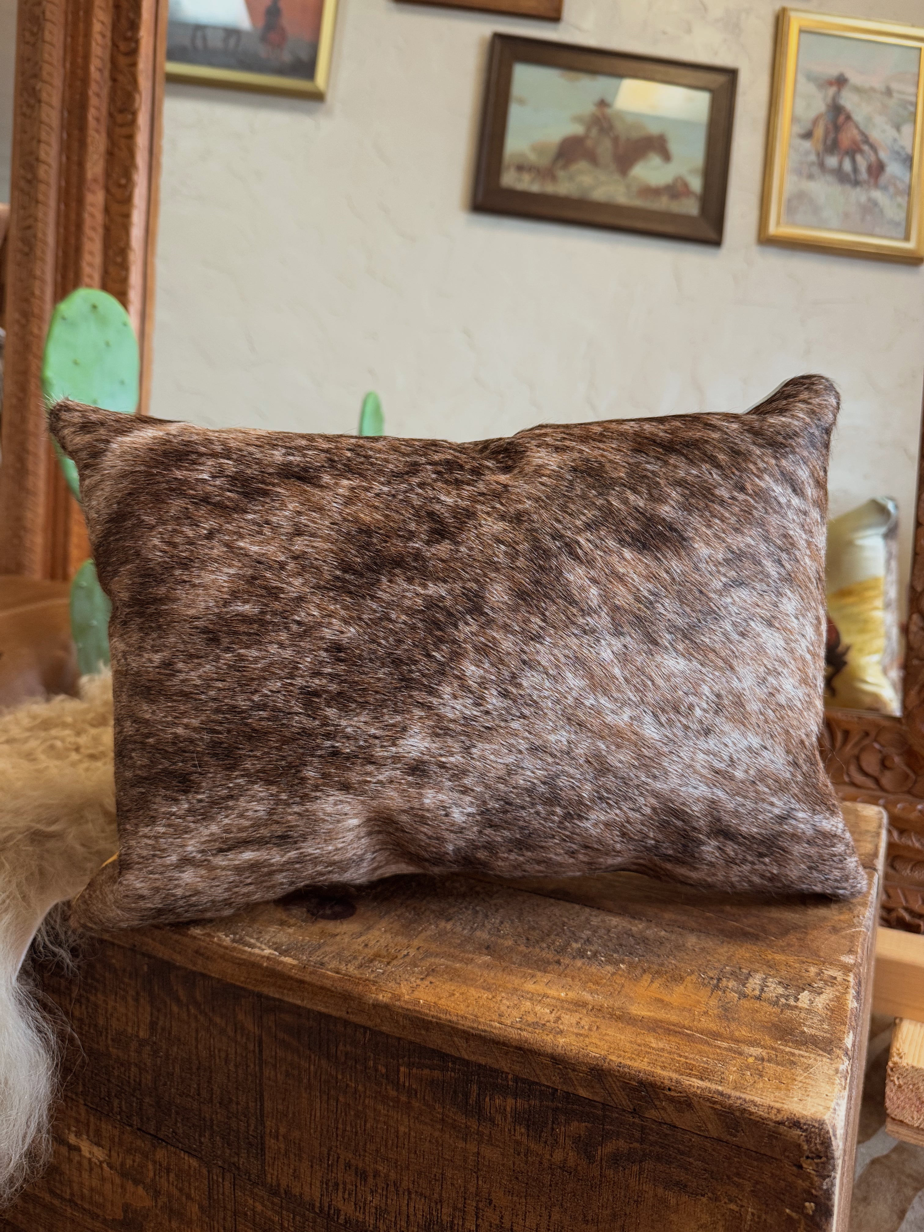 The Stray Pillow