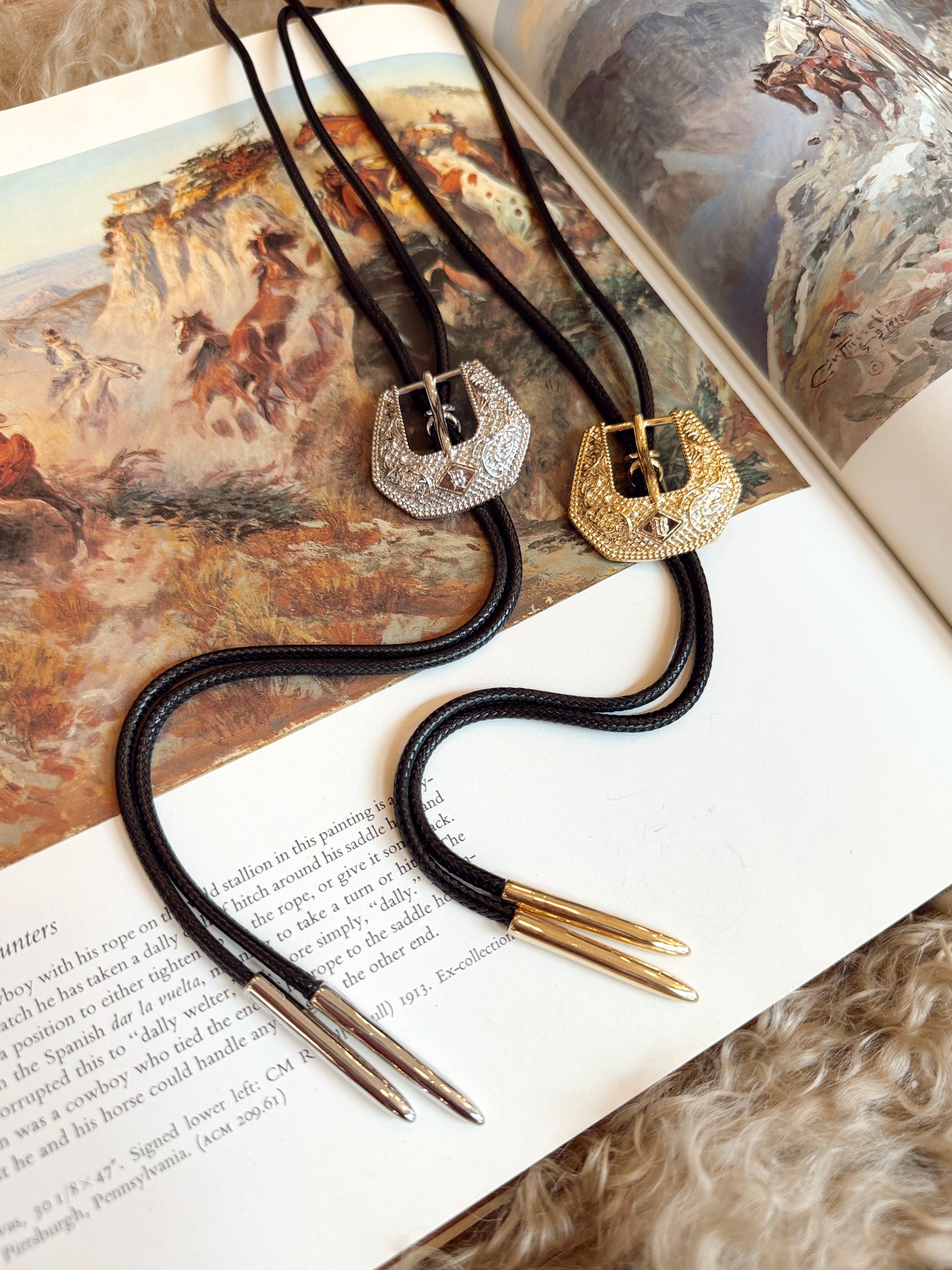 The Buckle HillBetty Bolo Necklace {GOLD + SILVER}