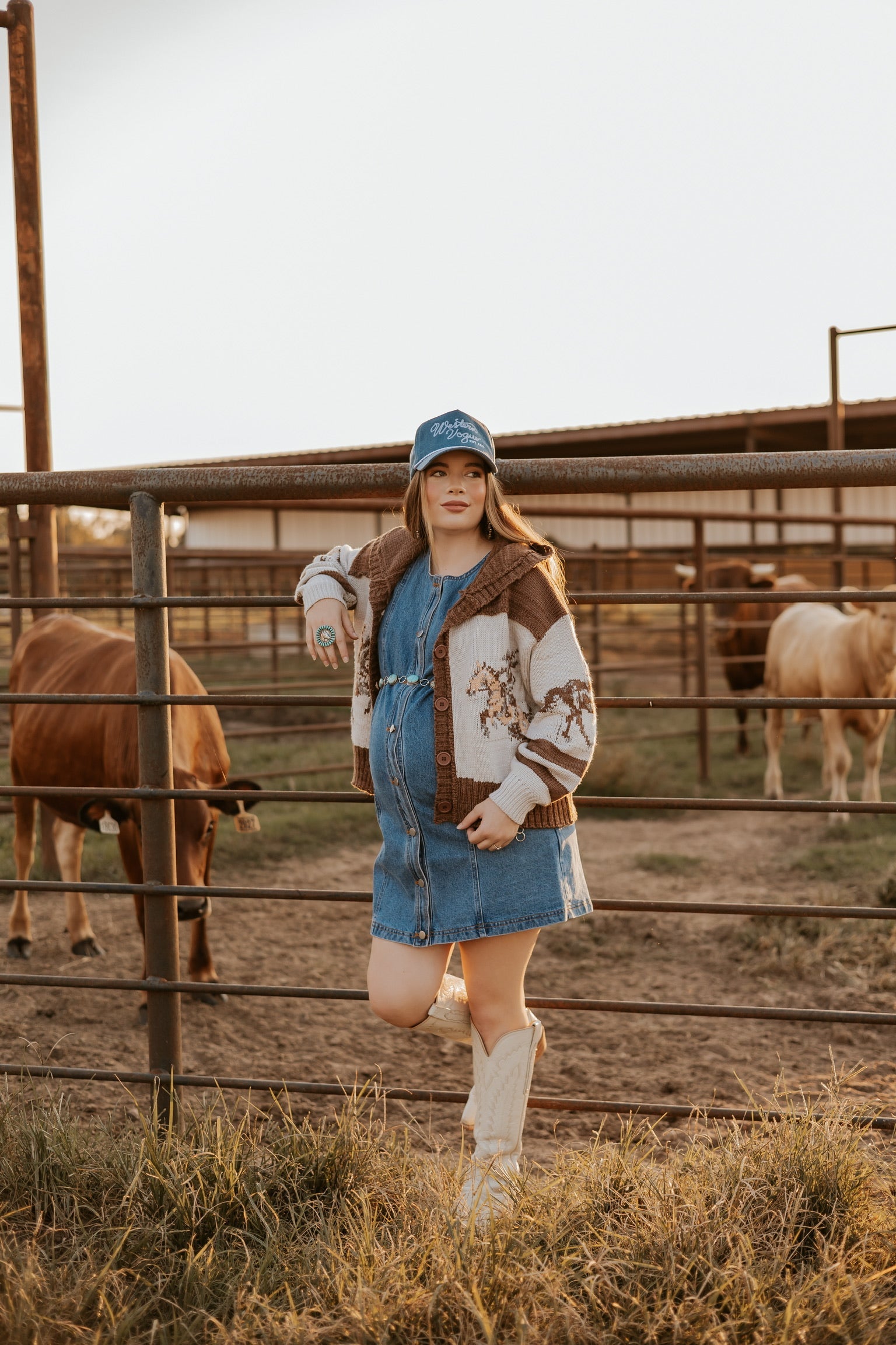 The Dobbs Denim Dress