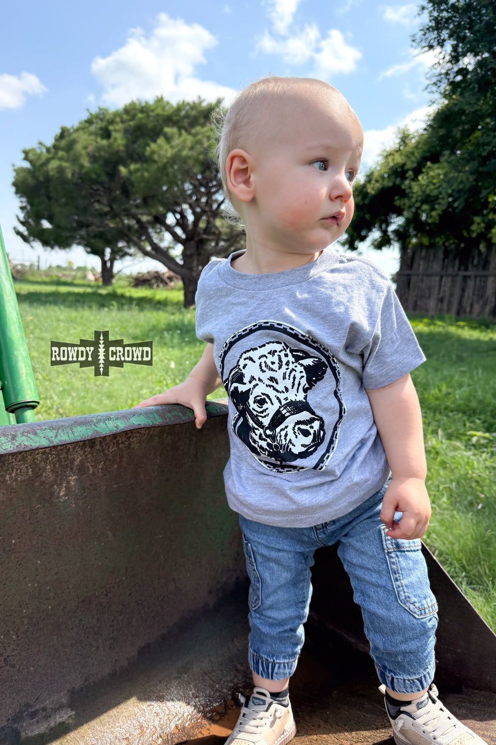 DS KIDS Happy Hereford Tee- GREY