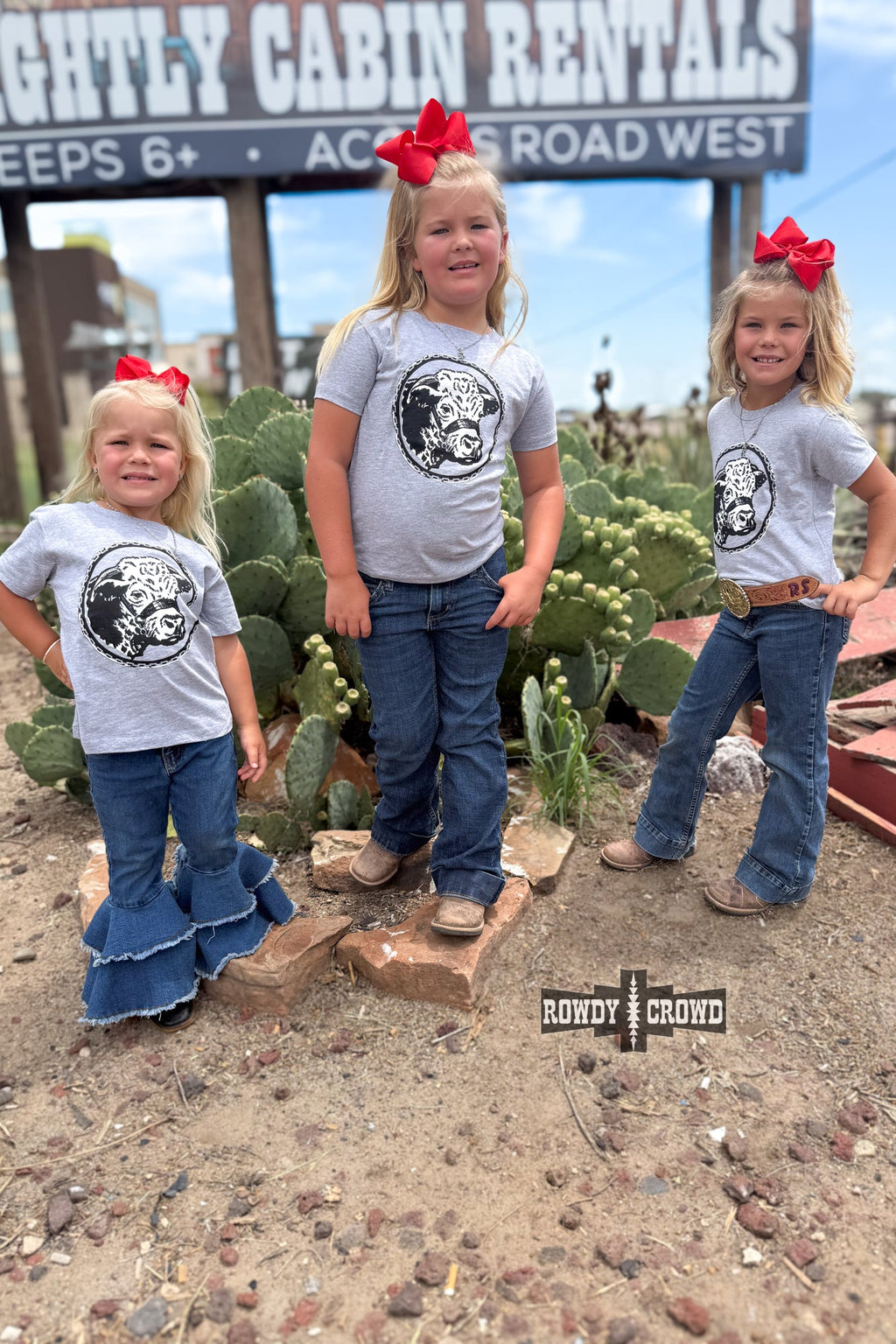 DS KIDS Happy Hereford Tee- GREY
