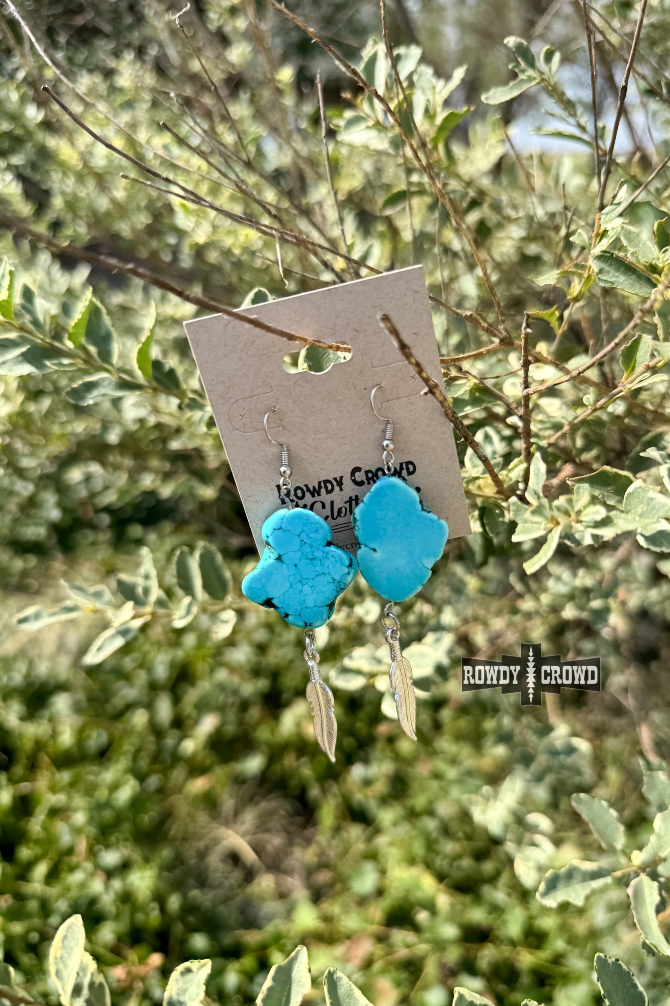 DS Turquoise Feather Earrings