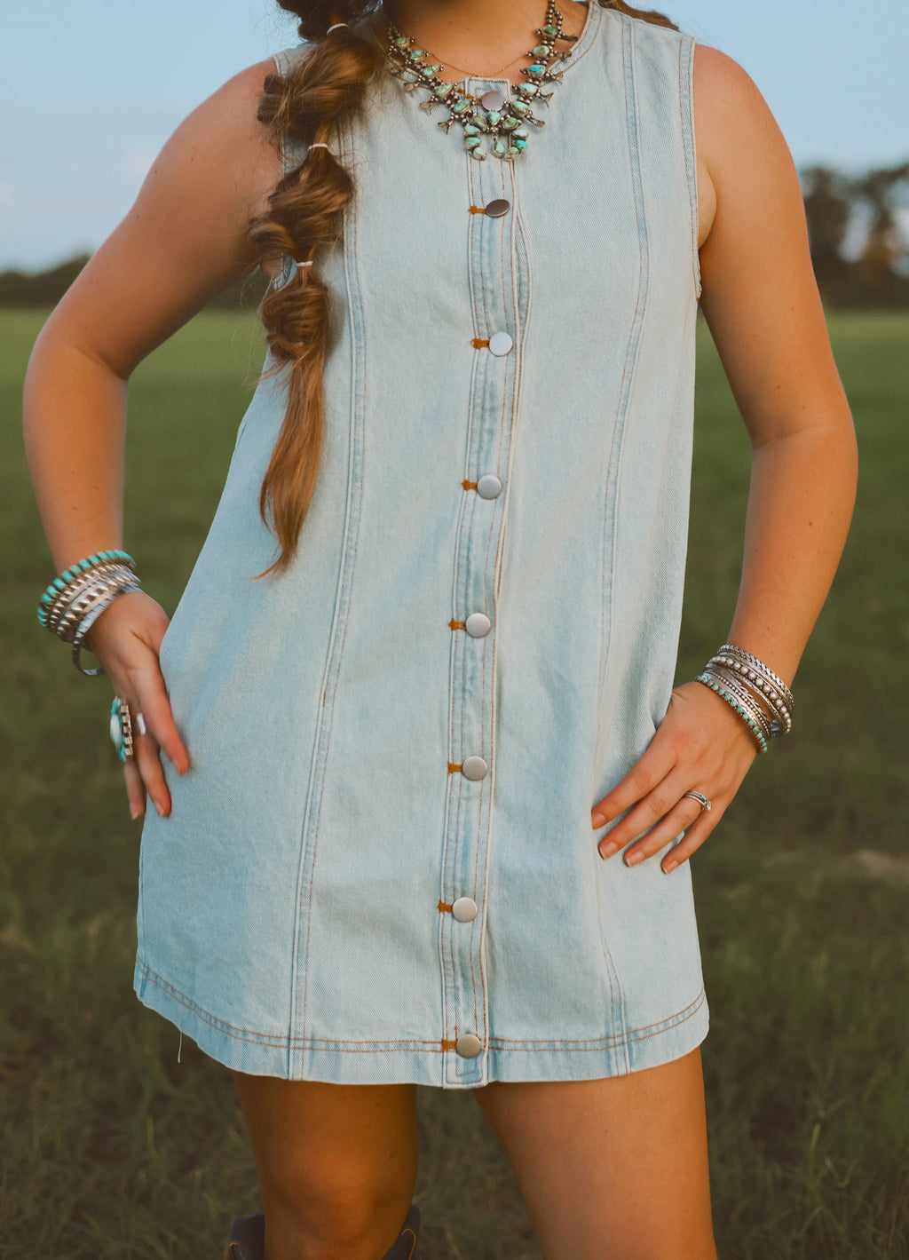 The Dobbs Denim Dress in Light Wash