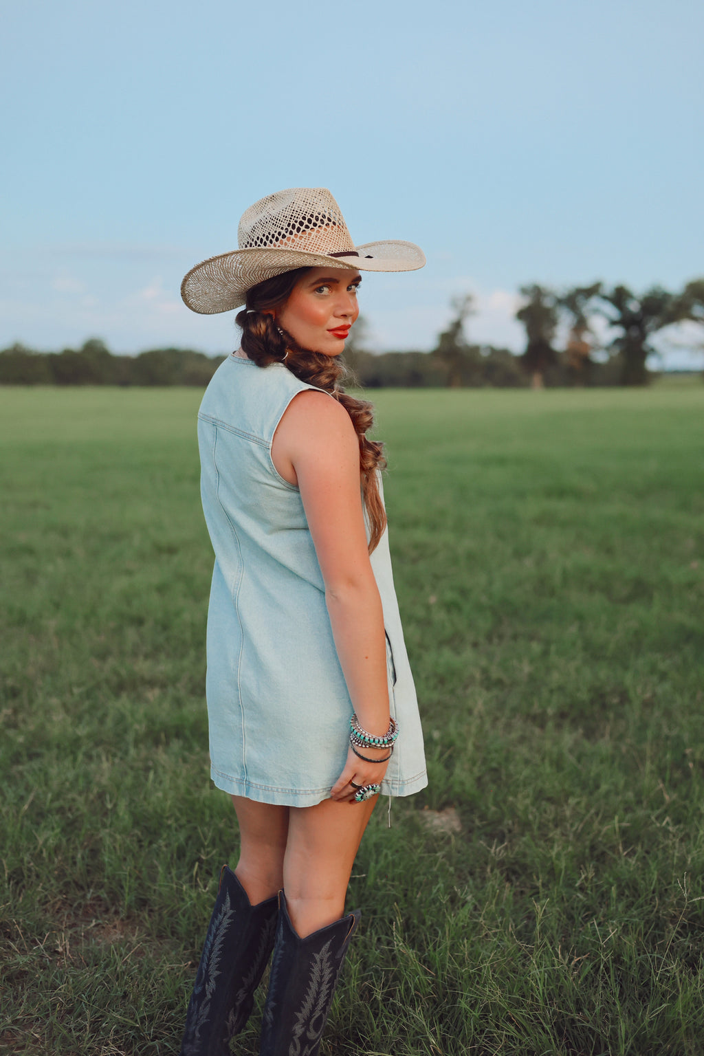 The Dobbs Denim Dress in Light Wash