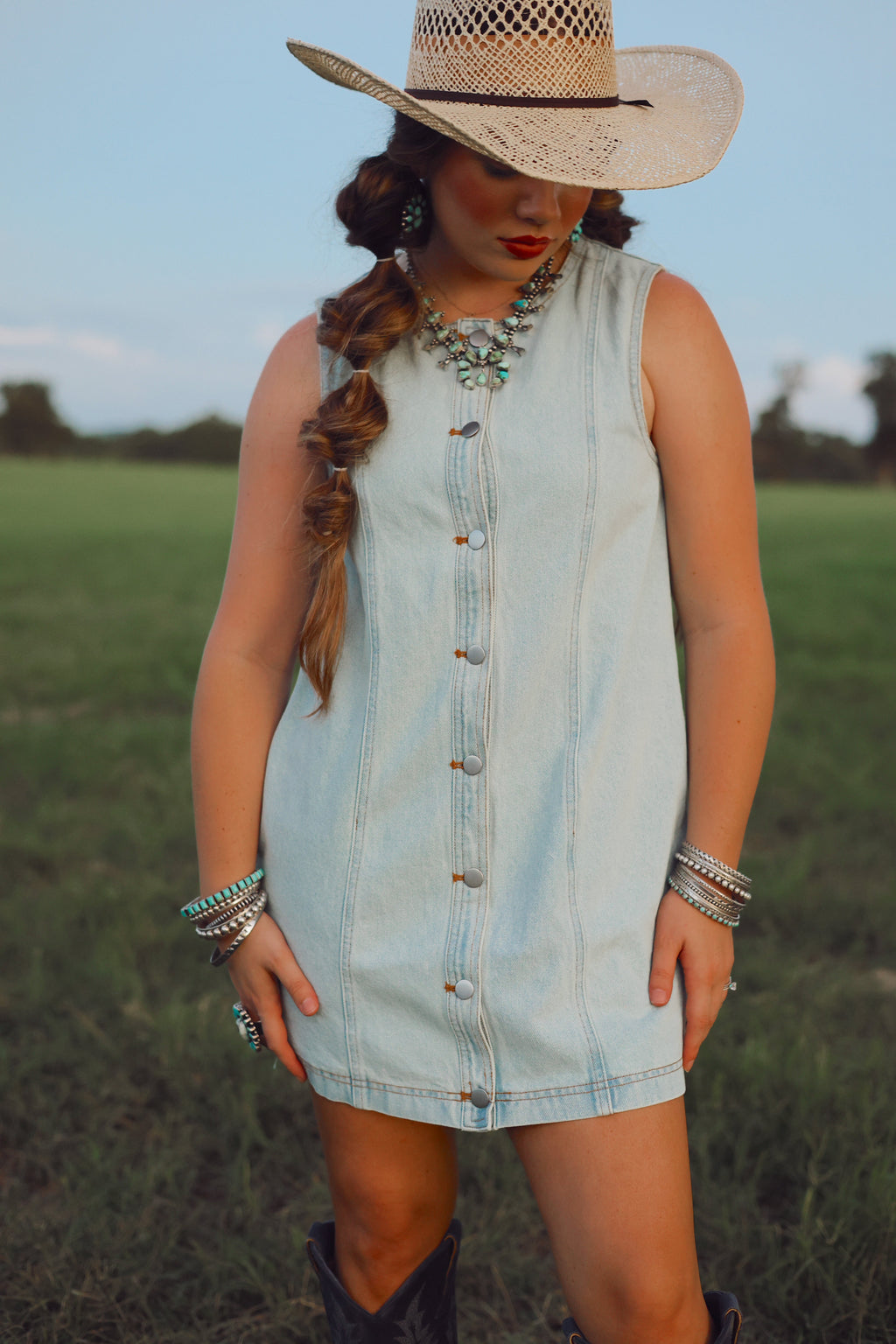 The Dobbs Denim Dress in Light Wash