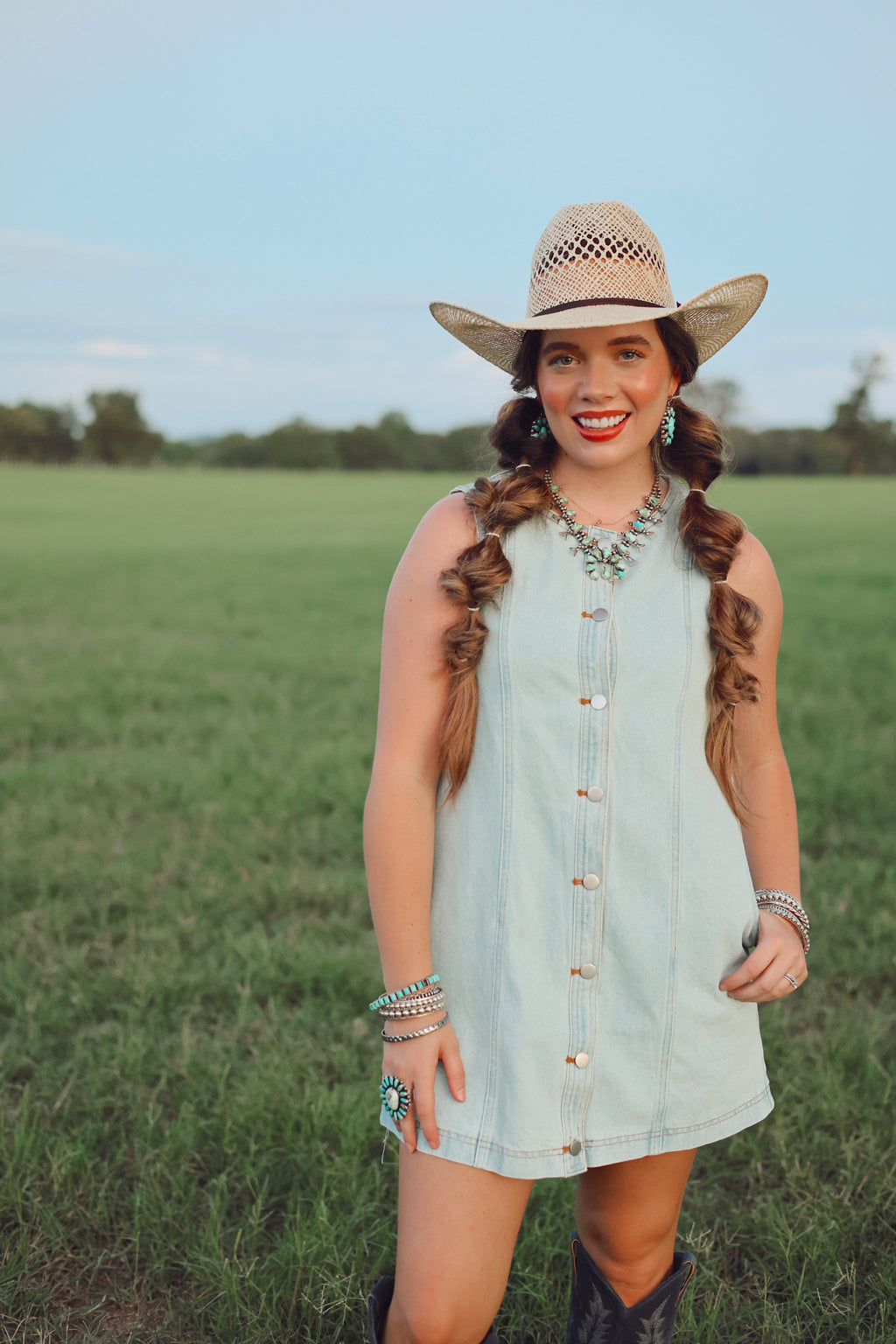 The Dobbs Denim Dress in Light Wash