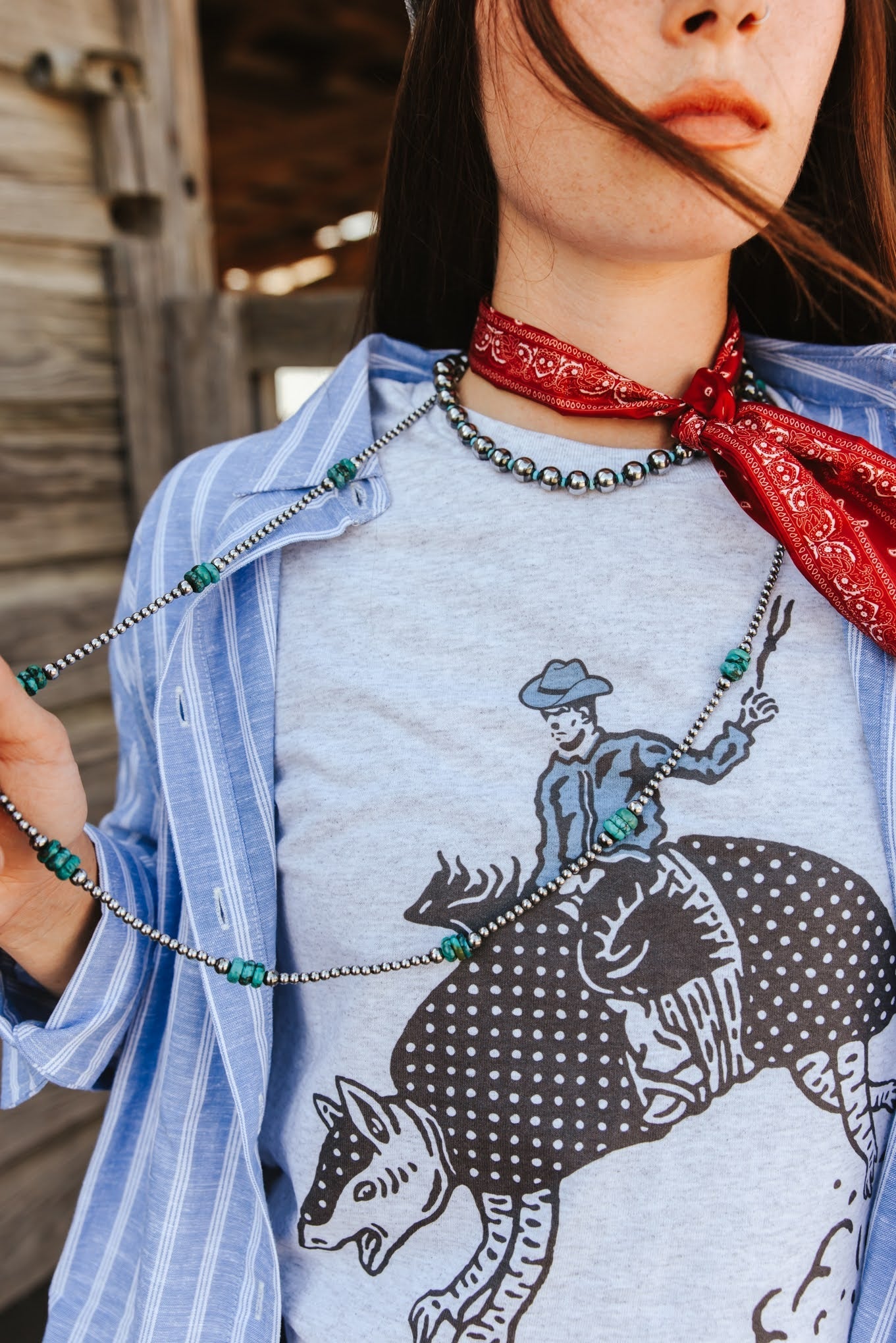 Armadillo Rodeo Graphic Tee