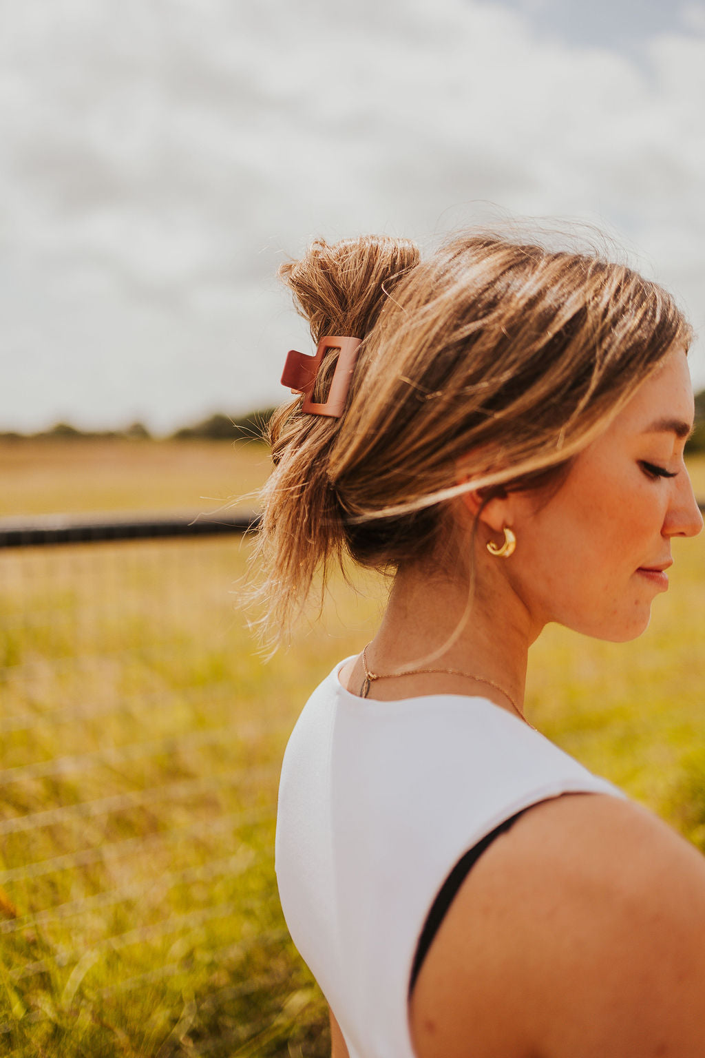 The Scottie Claw Clip in Ombre Brown