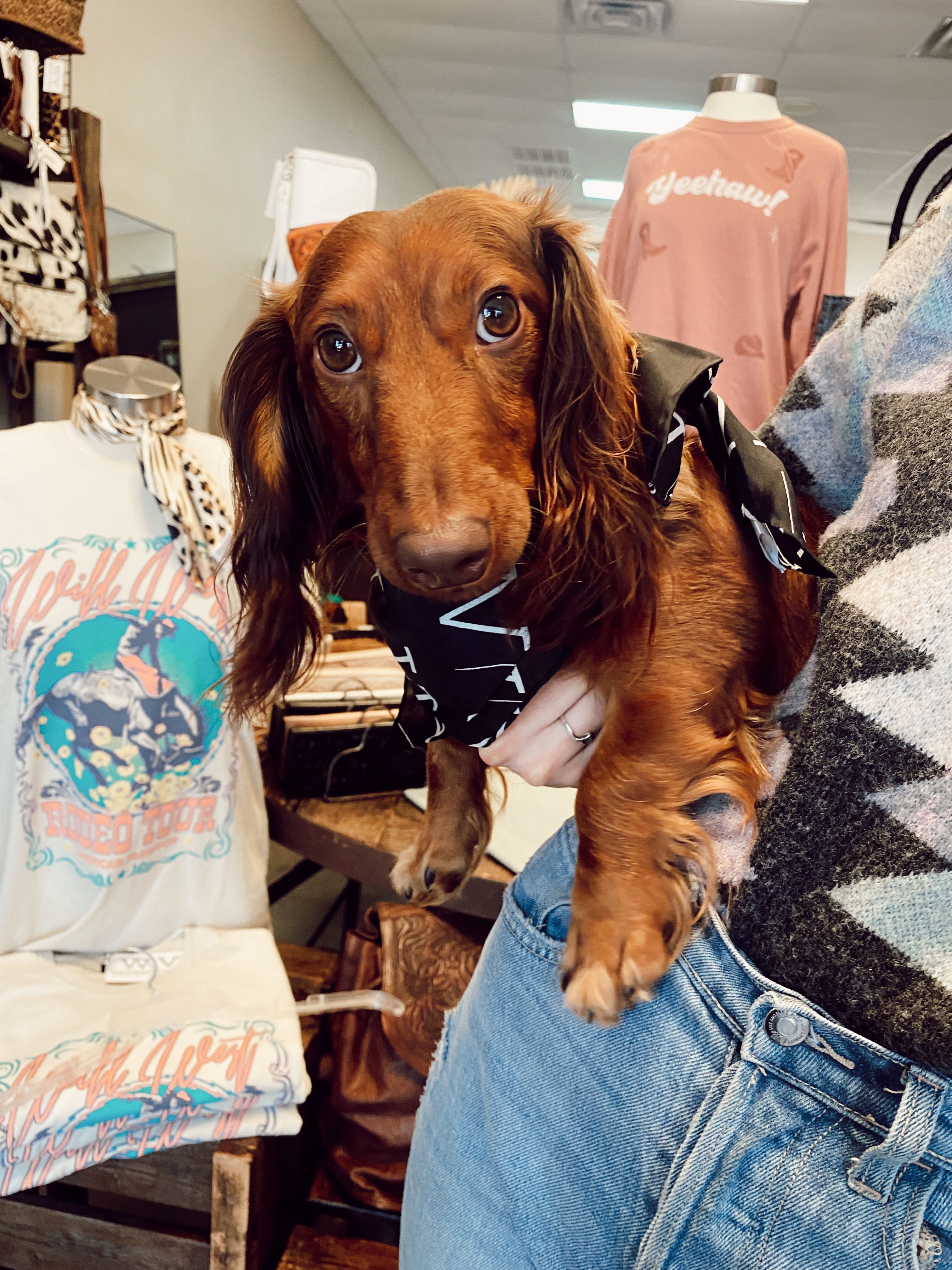 The Western Vogue Mini Wild Rag