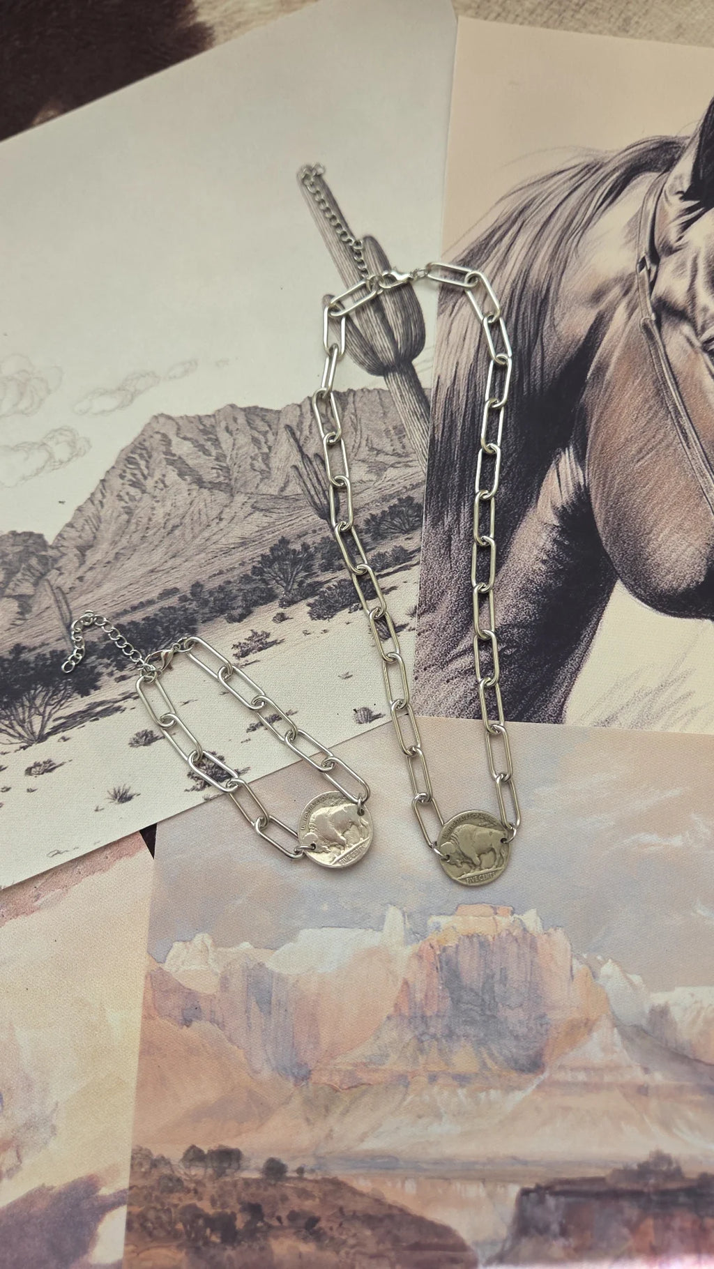 Buffalo coin set